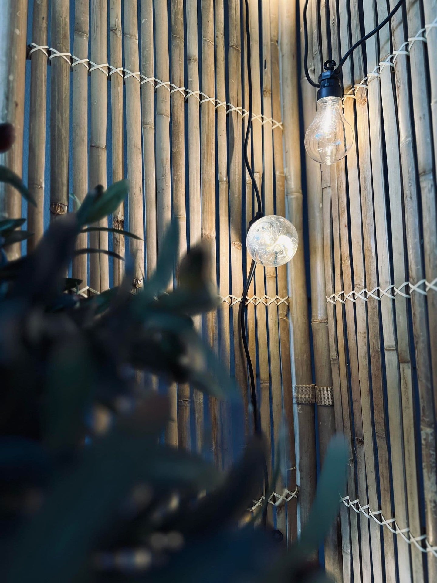 Lyskæde LED varm hvid - Kan forlænges - Godkendt til ude - VIAMAJA.DK