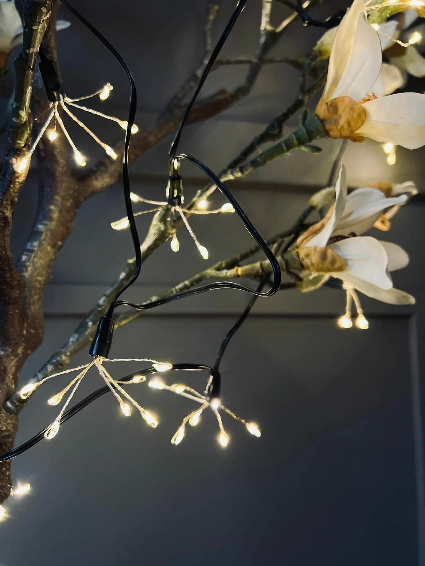 Lyskæde med 70 Led lys - Godkendt til inde og ude - VIAMAJA.DK