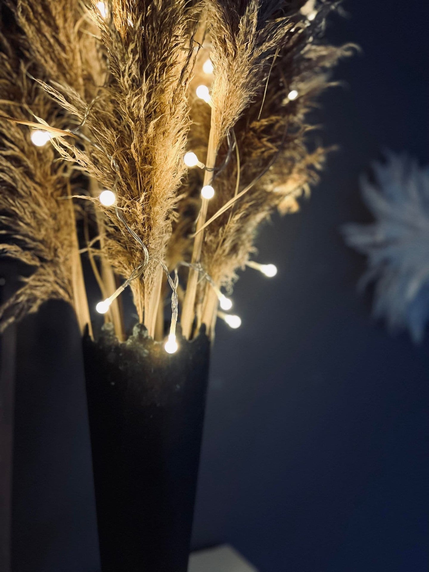 Lyskæde med hvide LED dots - batteriboks - VIAMAJA.DK