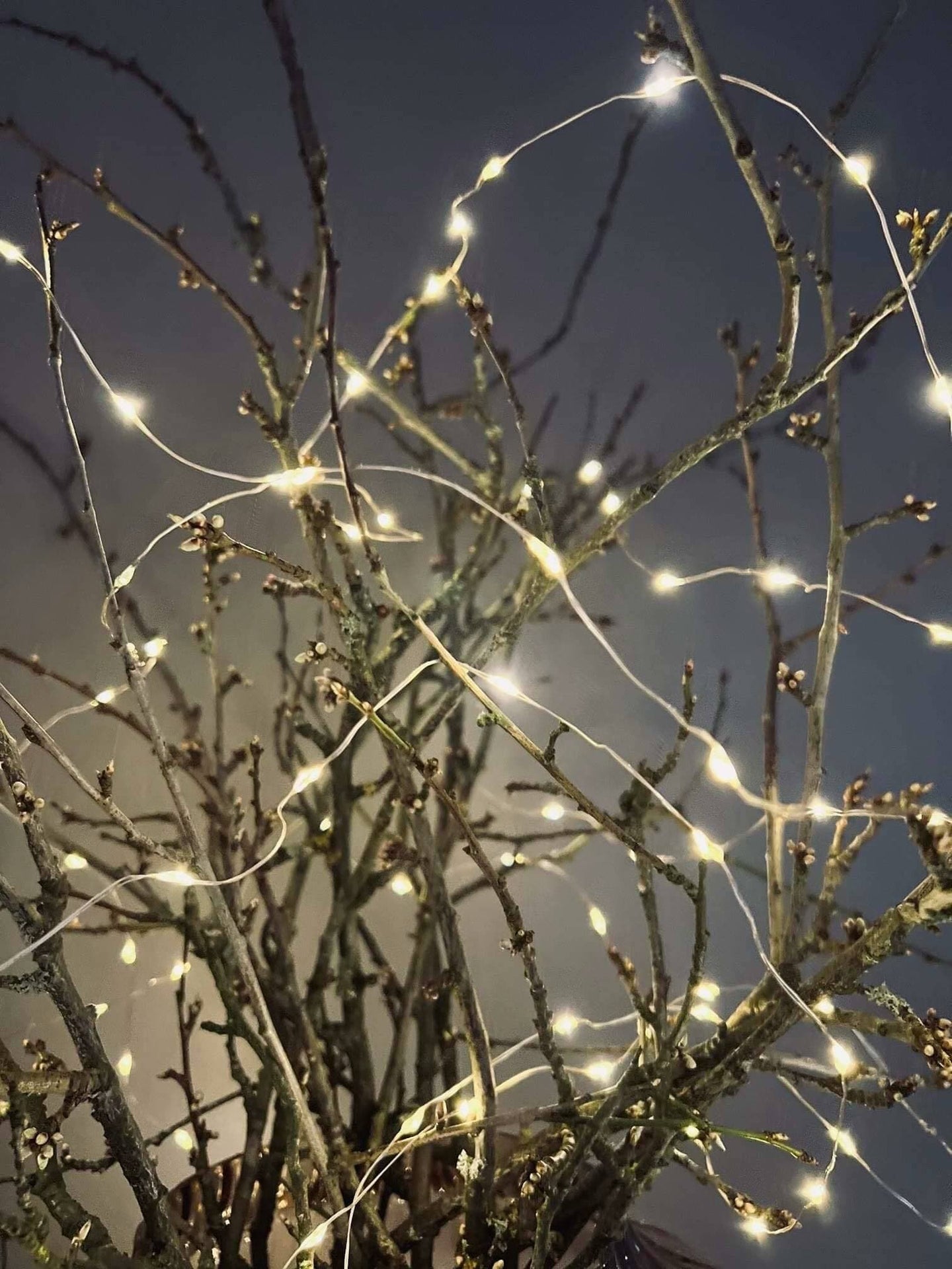 Lyskæde med solceller - 200 lys - VIAMAJA.DK