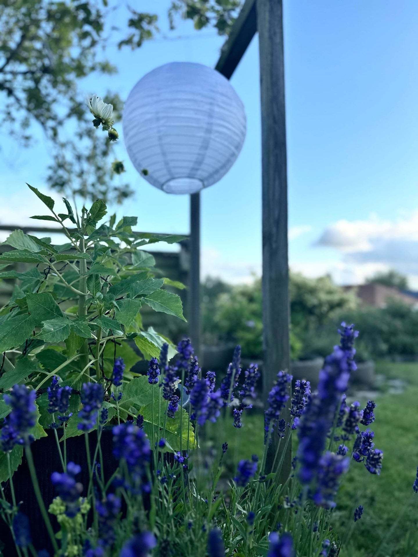 Lyskugle med solceller - VIAMAJA.DK