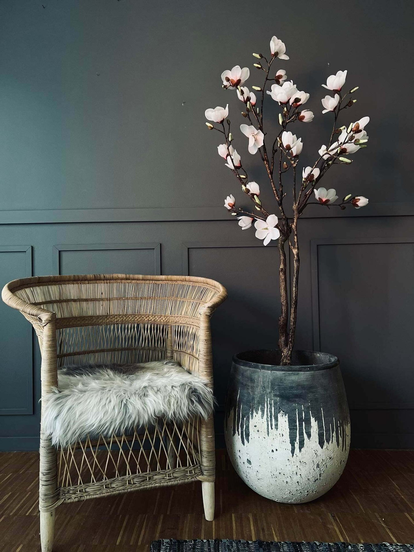 Magnoliatræ i pot - 160cm - VIAMAJA.DK