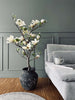Magnoliaträd i kruka - 120 cm Vit / Lime