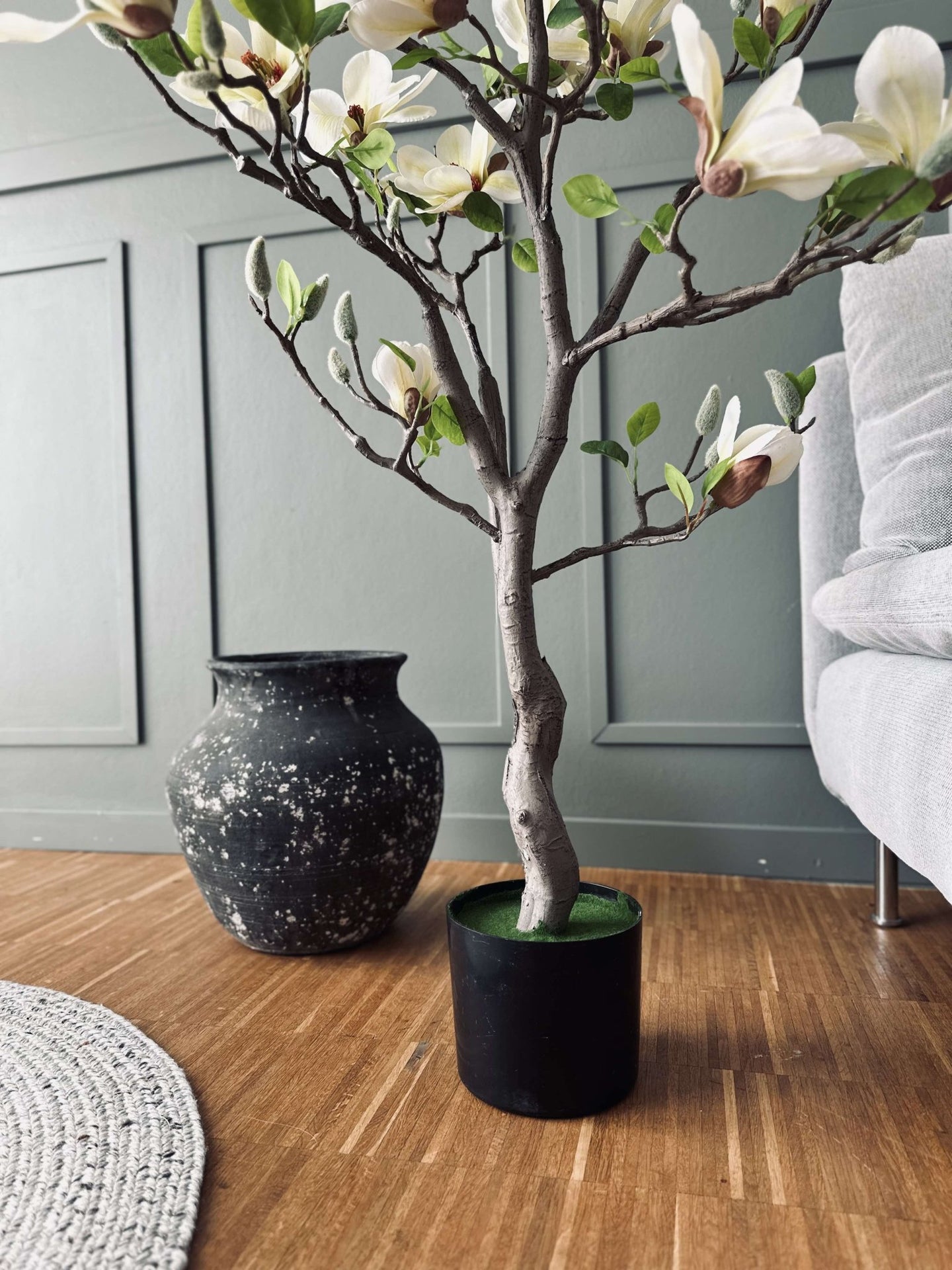 Magnoliatræ i potte - 120 cm Hvid / Lime - VIAMAJA.DK