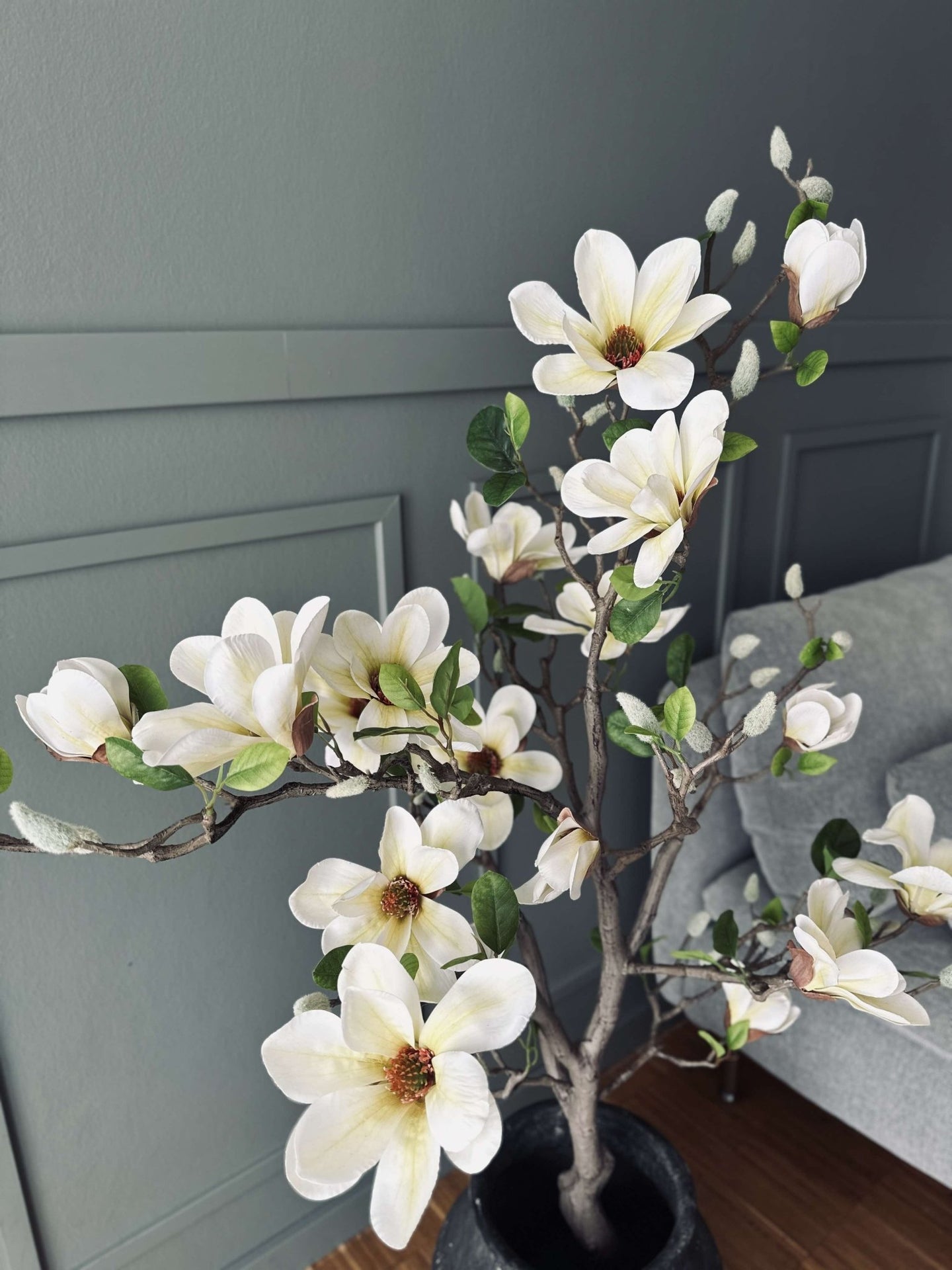 Magnoliatræ i potte - 120 cm Hvid / Lime - VIAMAJA.DK