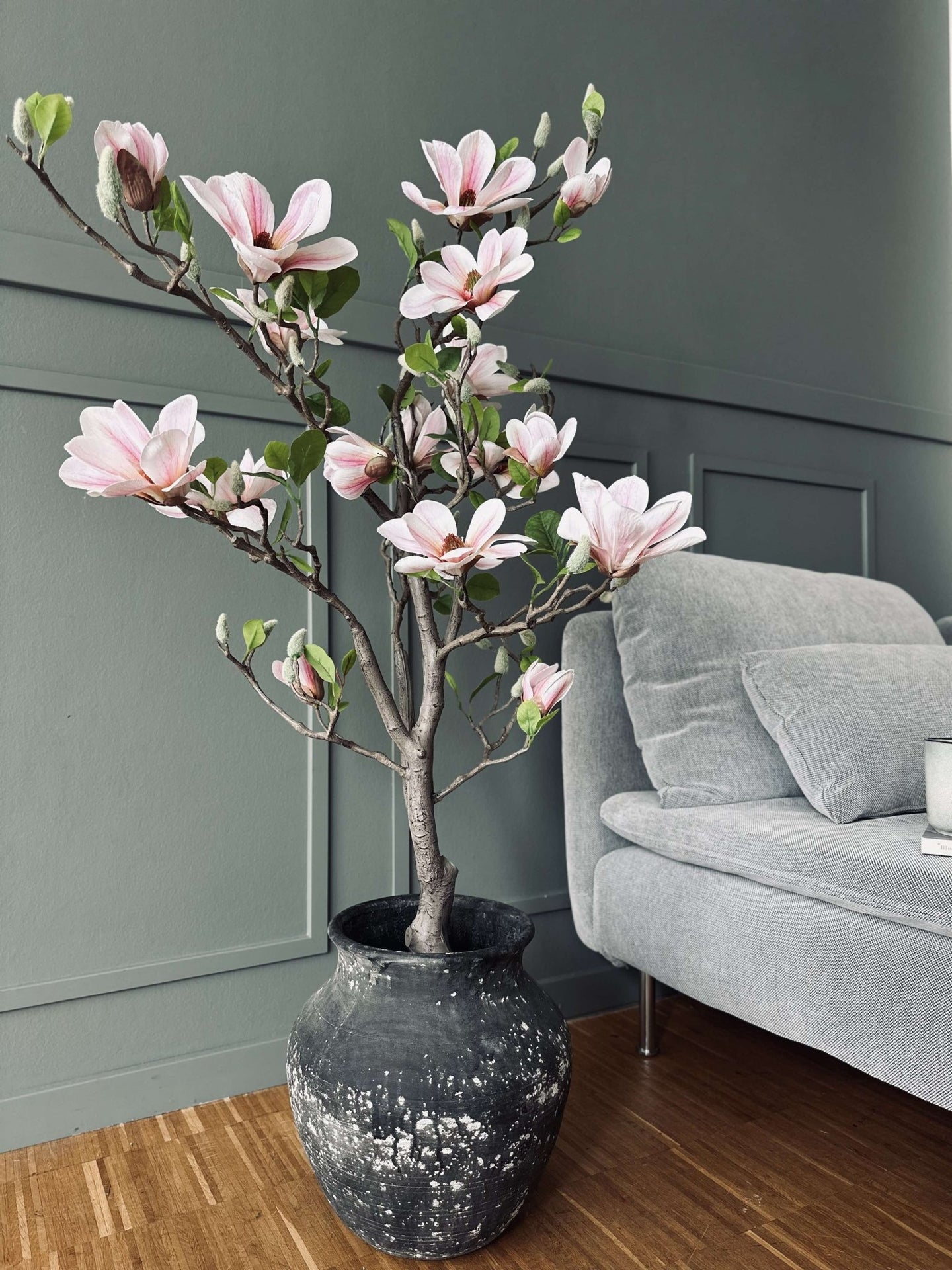 Magnoliatræ i potte - 120 cm Rosa - VIAMAJA.DK