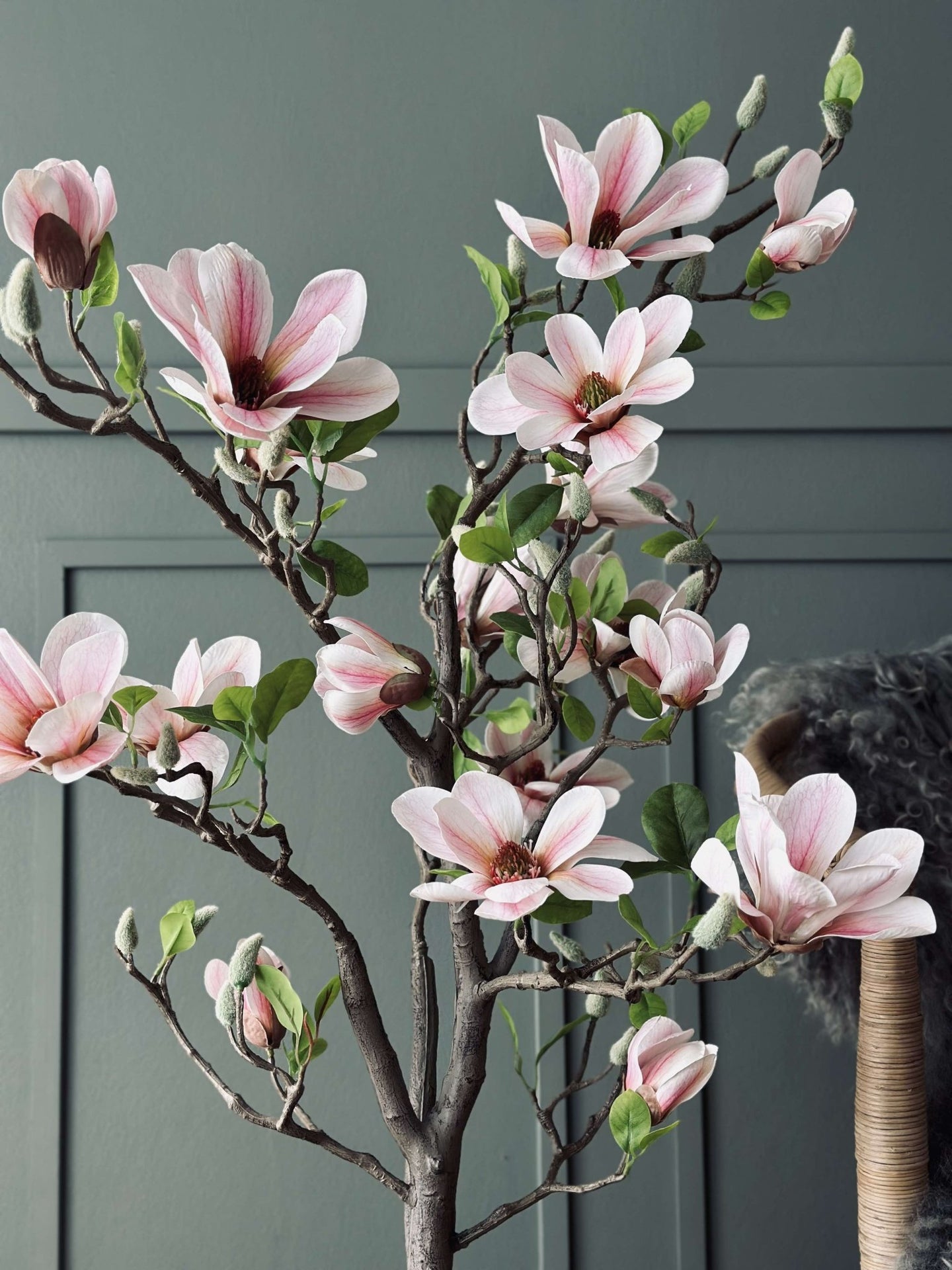 Magnoliatræ i potte - 120 cm Rosa - VIAMAJA.DK