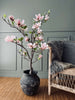 Magnoliaträd i kruka - 120 cm Rosa