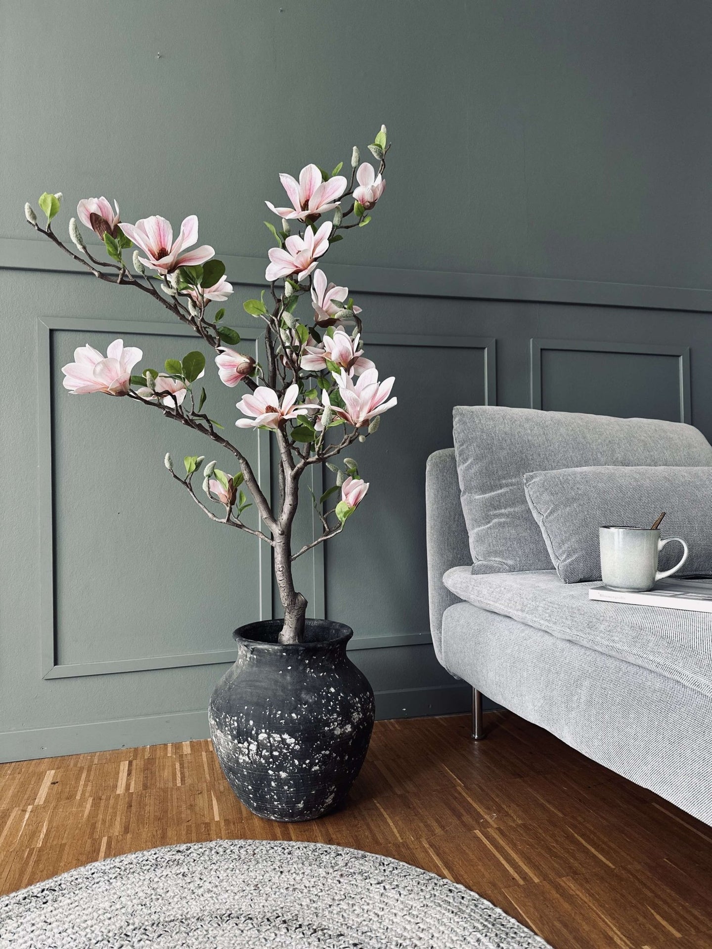 Magnoliatræ i potte - 120 cm Rosa - VIAMAJA.DK