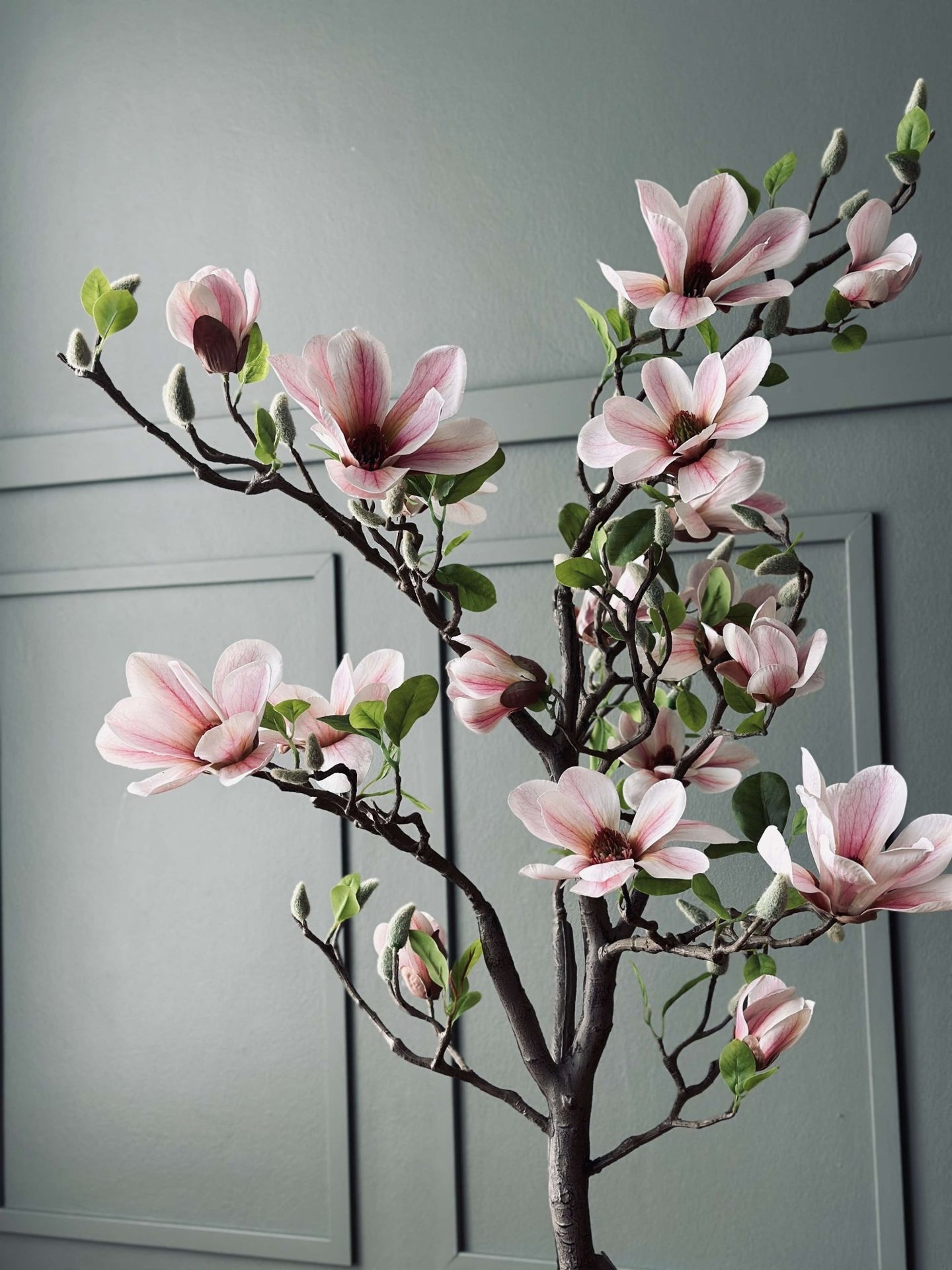 Magnoliatræ i potte - 120 cm Rosa - VIAMAJA.DK