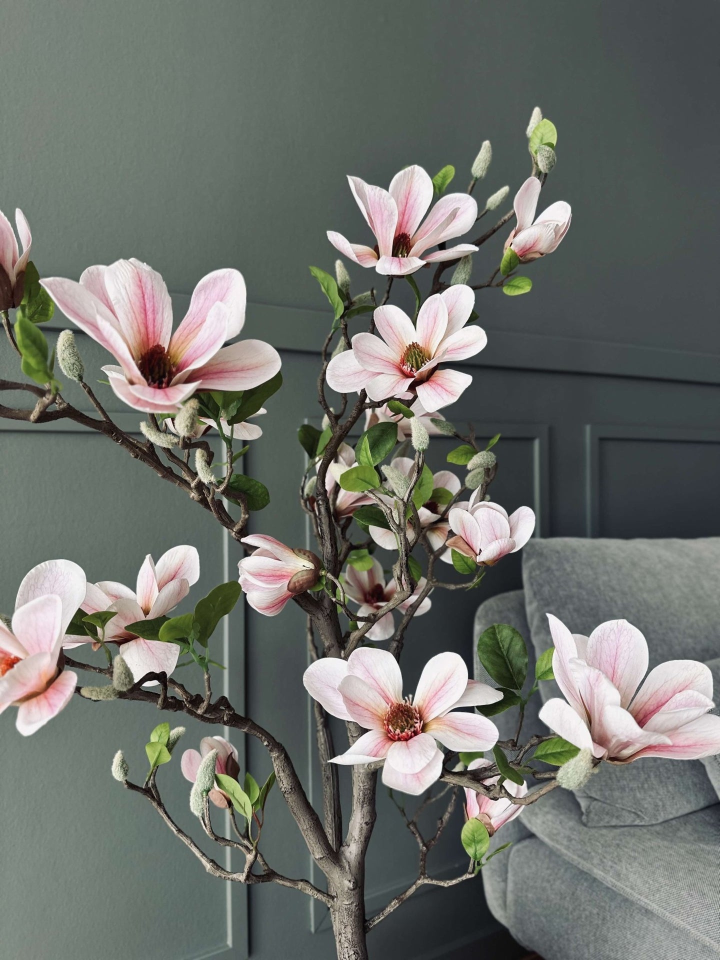 Magnoliatræ i potte - 120 cm Rosa - VIAMAJA.DK