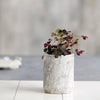 Marmor kruka – Mellan Marble
