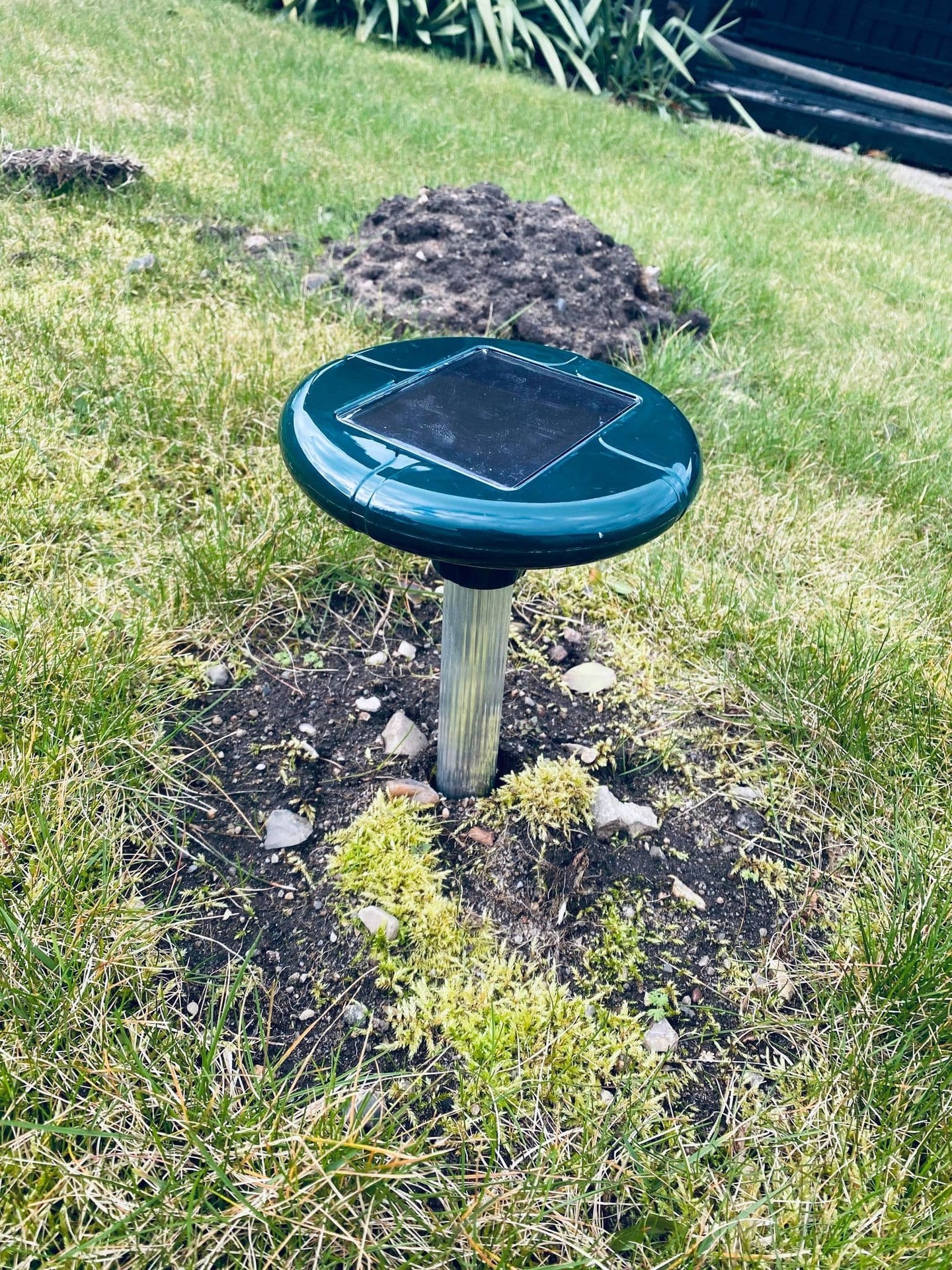 Muldvarpe afskrækker med solceller - Grøn - VIAMAJA.DK