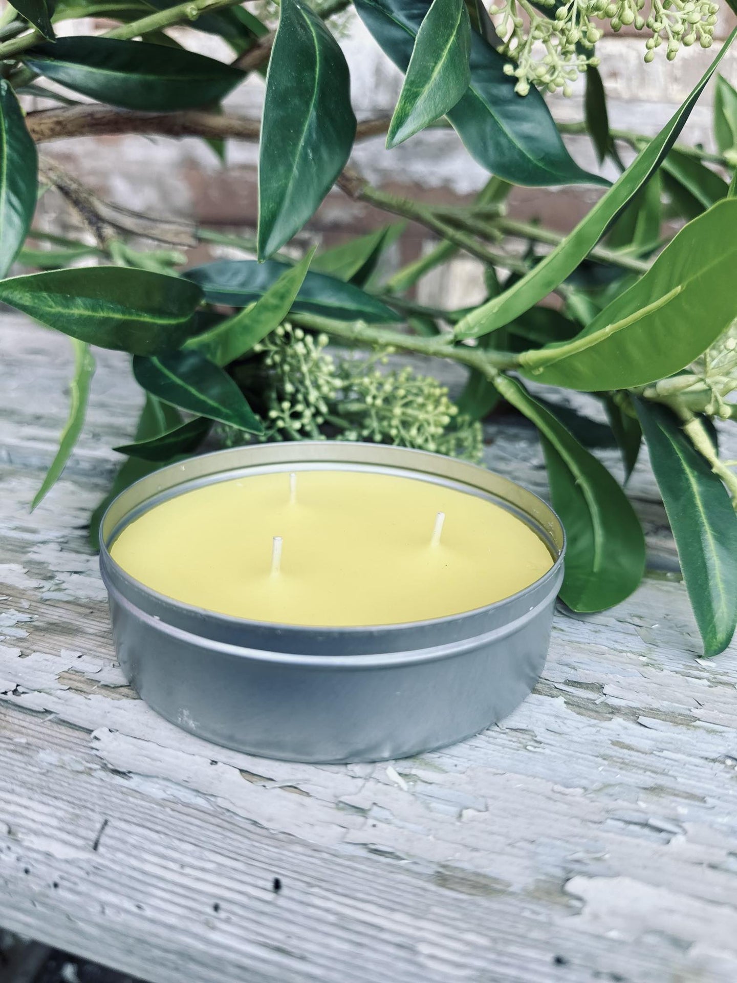 Myggelys Citronella - VIAMAJA.DK