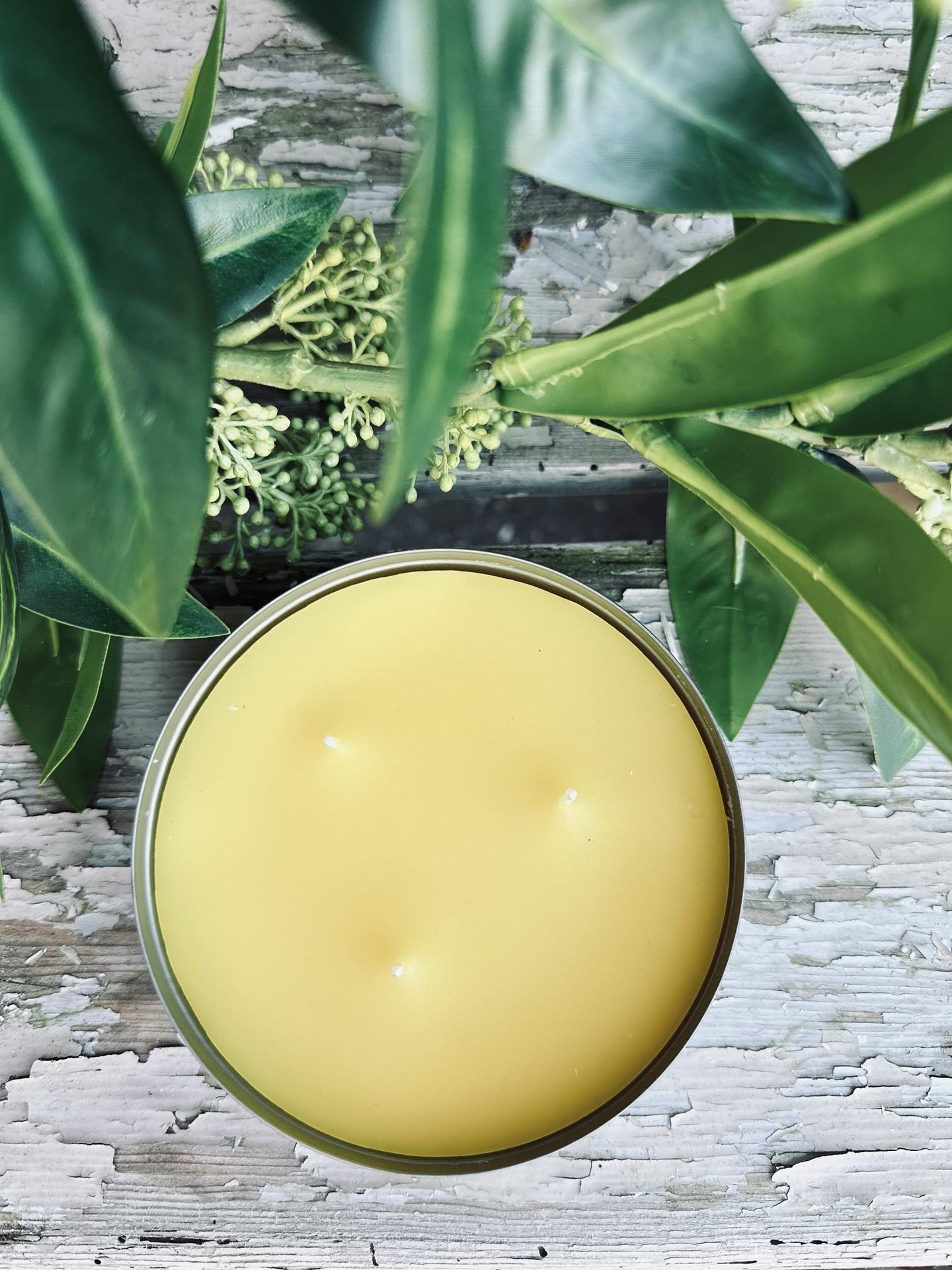 Myggelys Citronella - VIAMAJA.DK