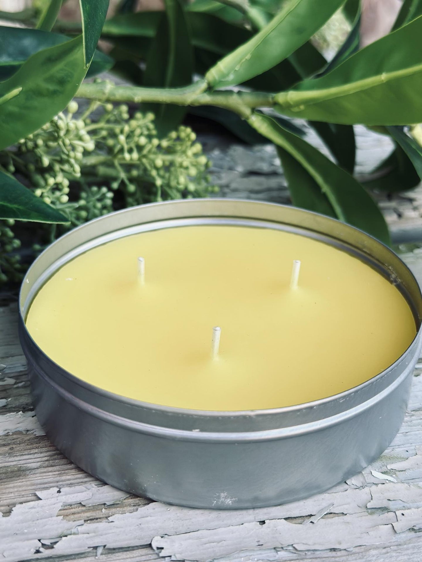 Myggelys Citronella - VIAMAJA.DK