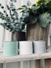 Myggljus Citronella - Dämpad färgmix