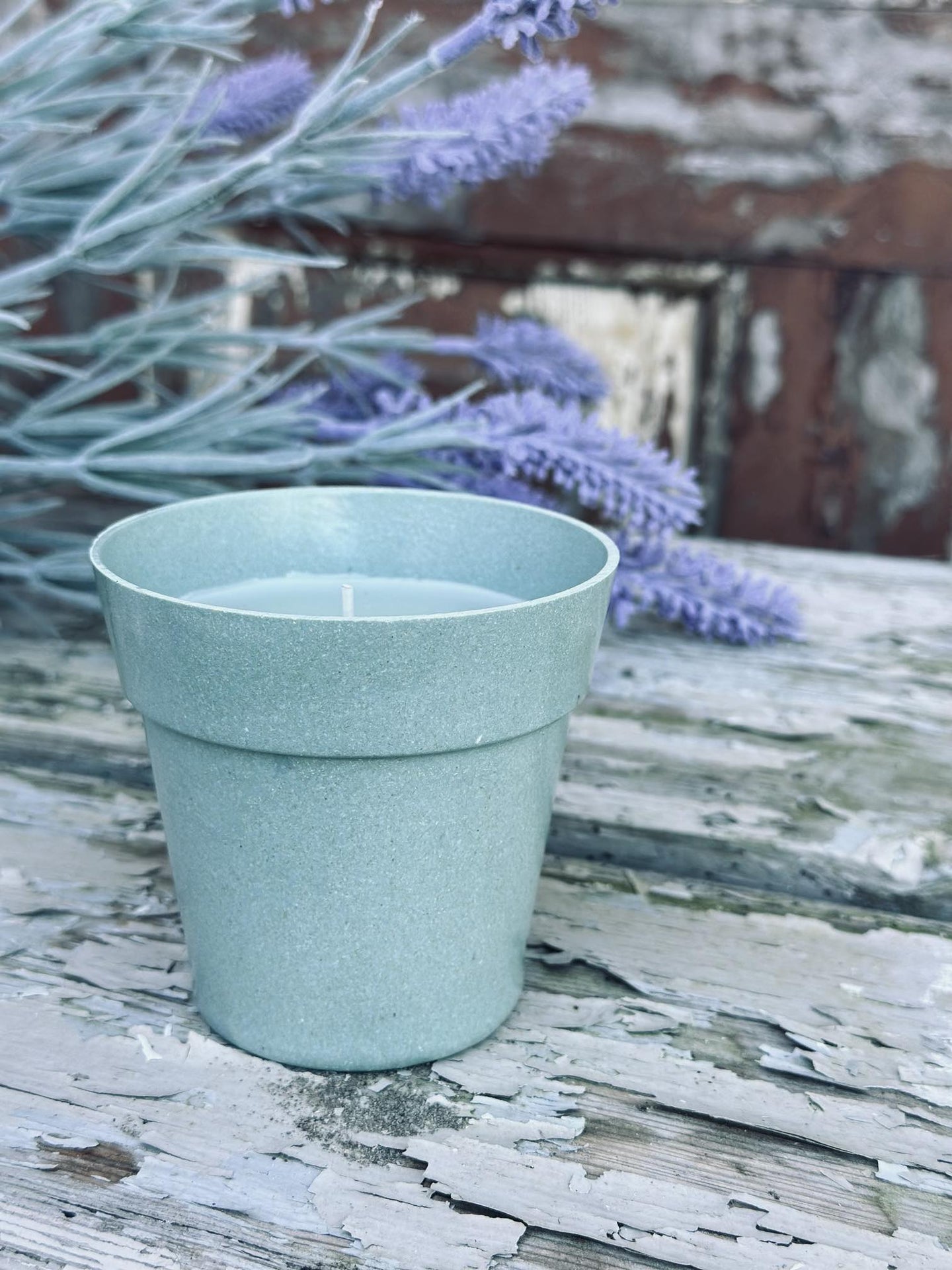 Myggelys – Citronella i biopotte - VIAMAJA.DK