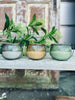 Myggljus – Citronella mix