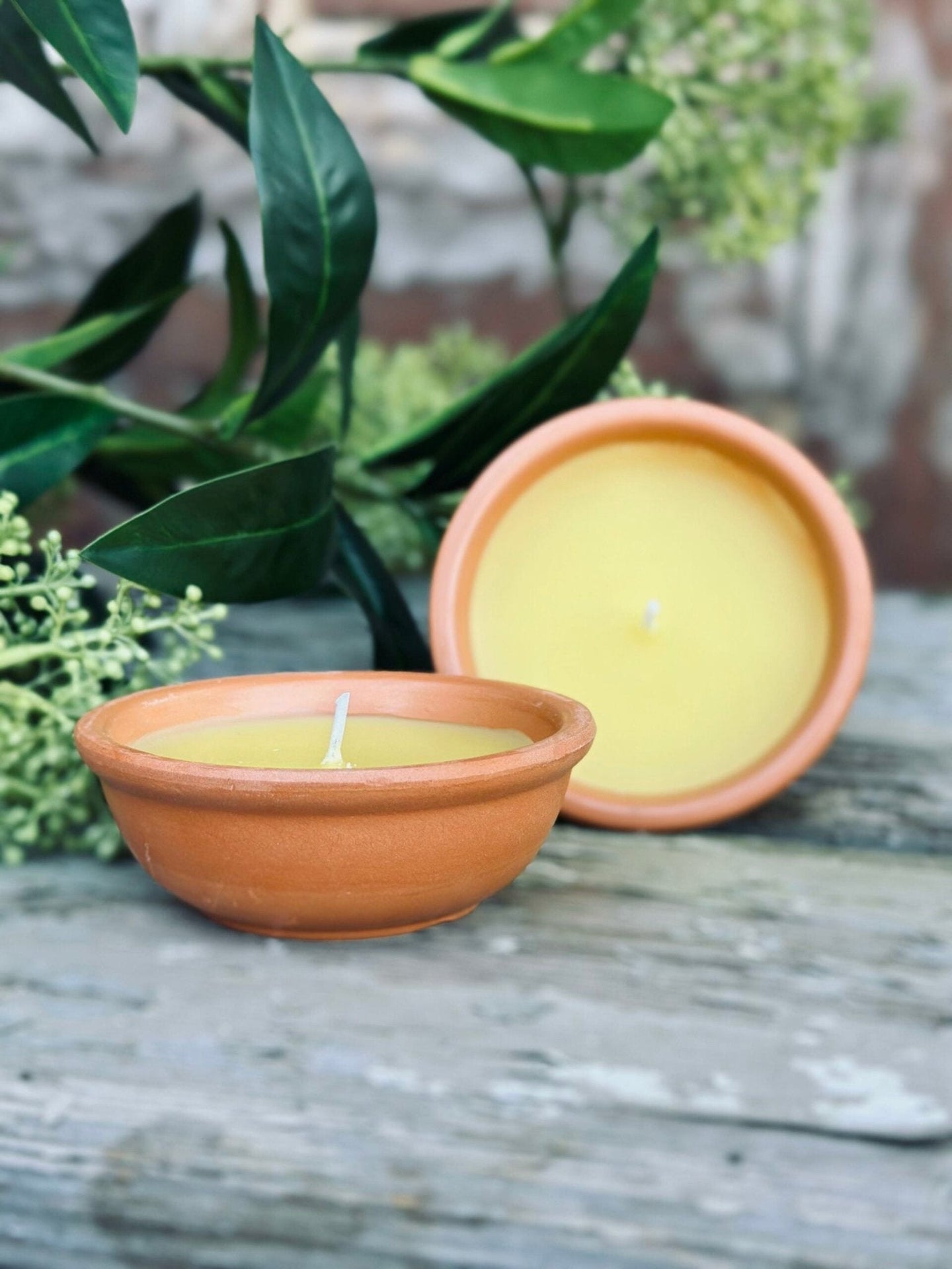 Myggelys – Citronella Sæt med 2 stk - VIAMAJA.DK