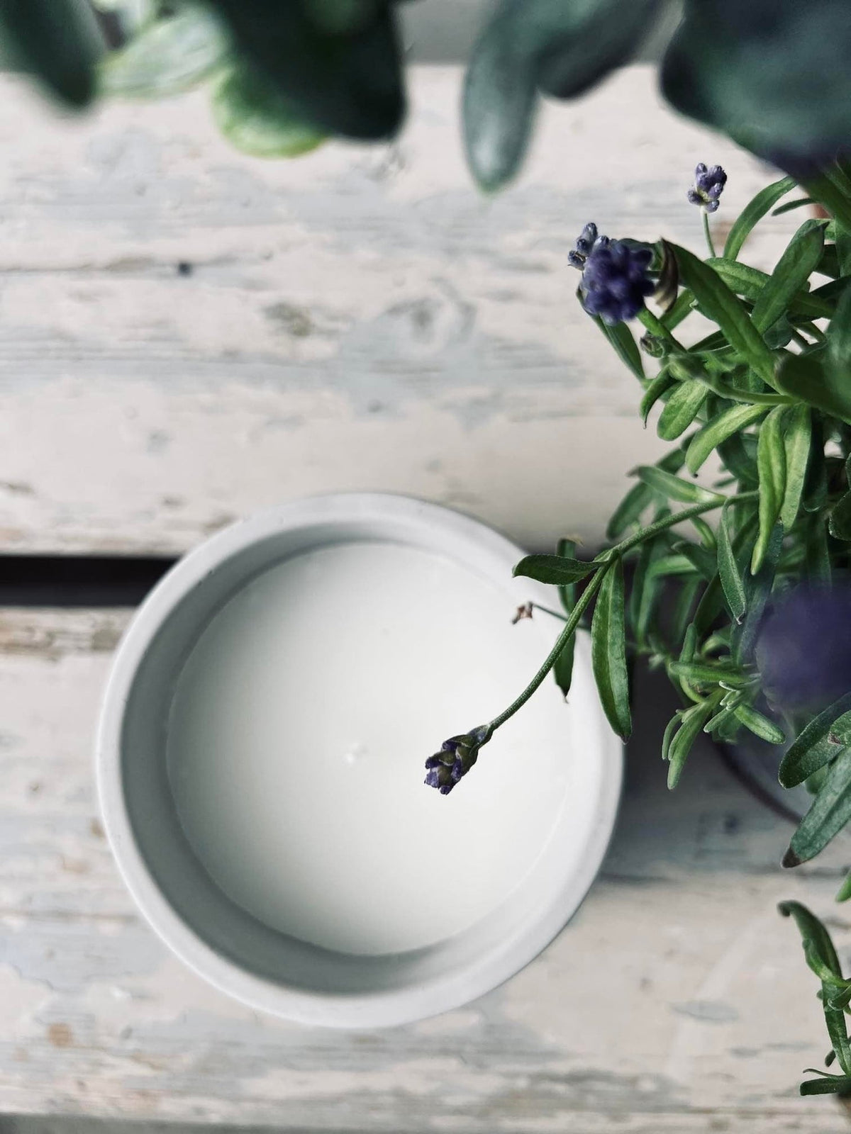 Myggelys - Citronella & Sea salt - VIAMAJA.DK