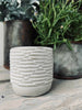Myggljus - Citronella Stone