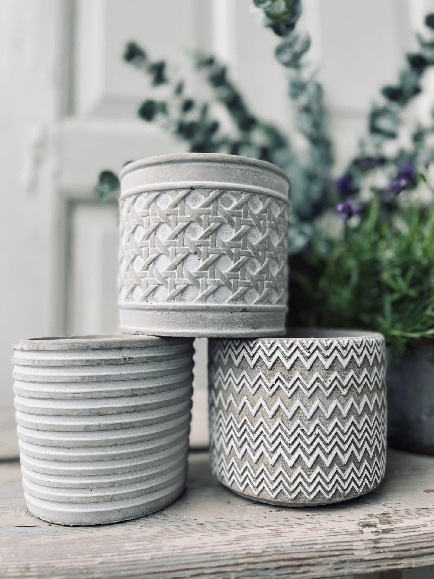 Myggelys i cement potte - Citronella mix - VIAMAJA.DK