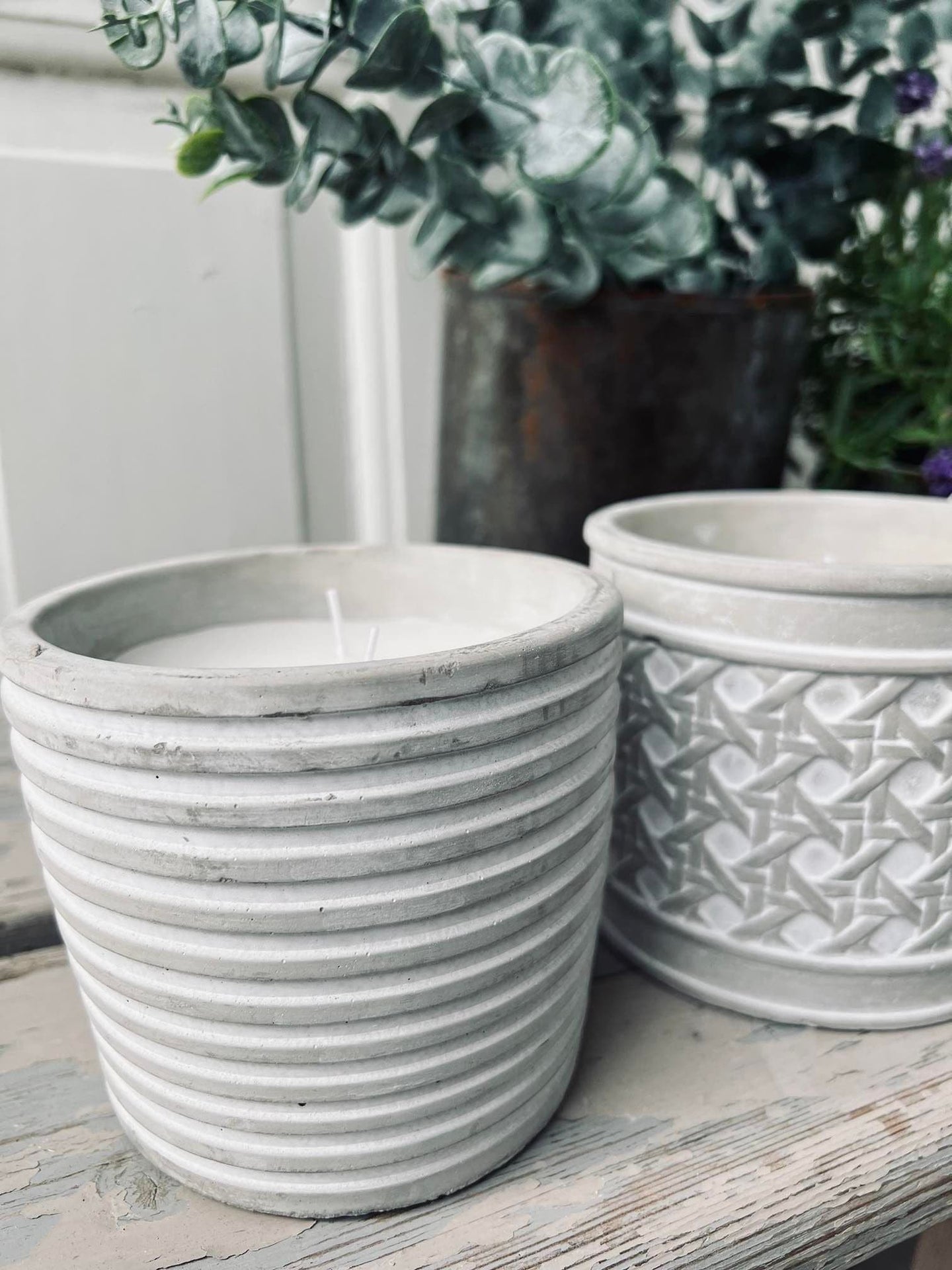 Myggelys i cement potte - Citronella mix - VIAMAJA.DK