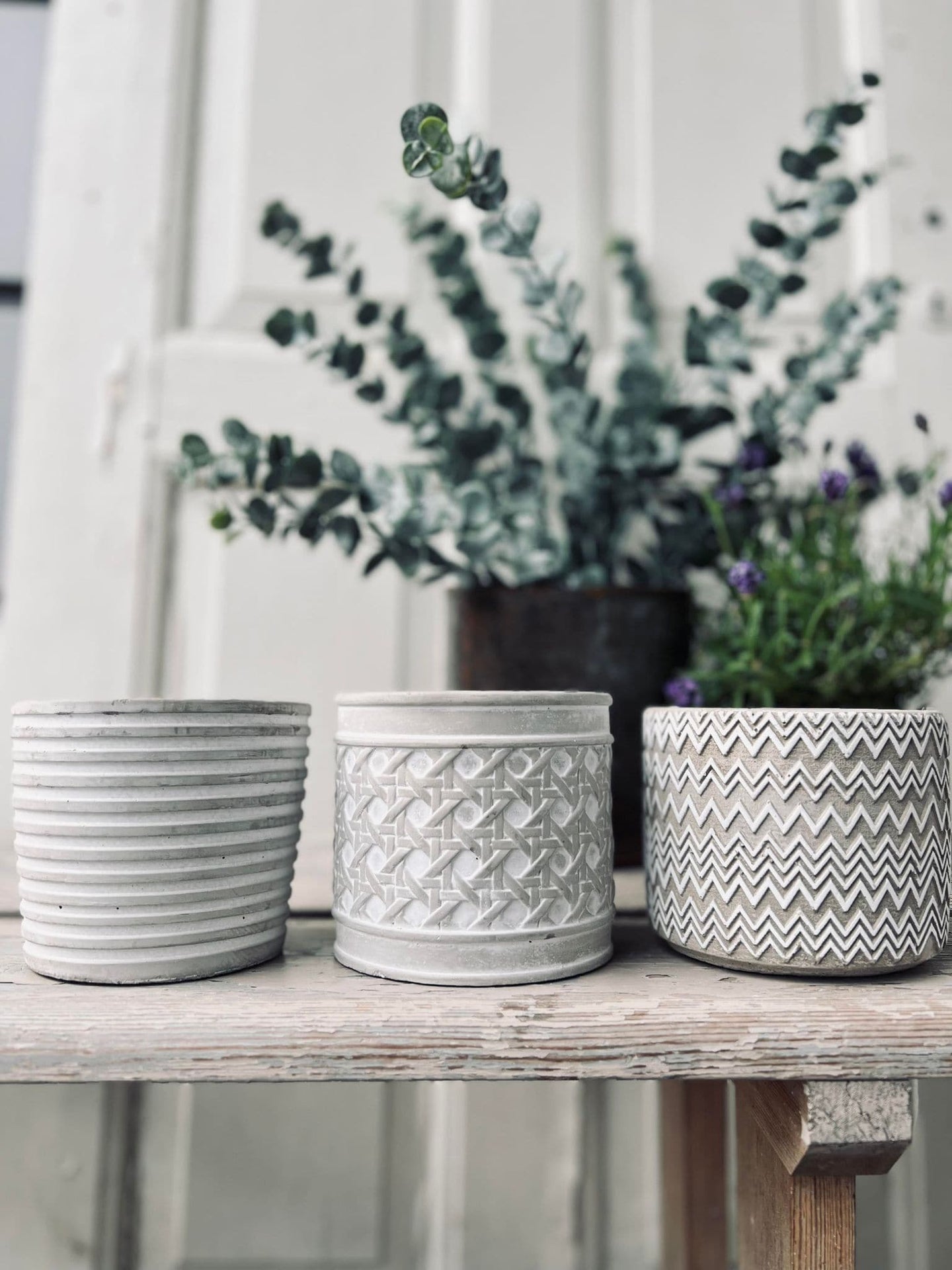 Myggelys i cement potte - Citronella mix - VIAMAJA.DK