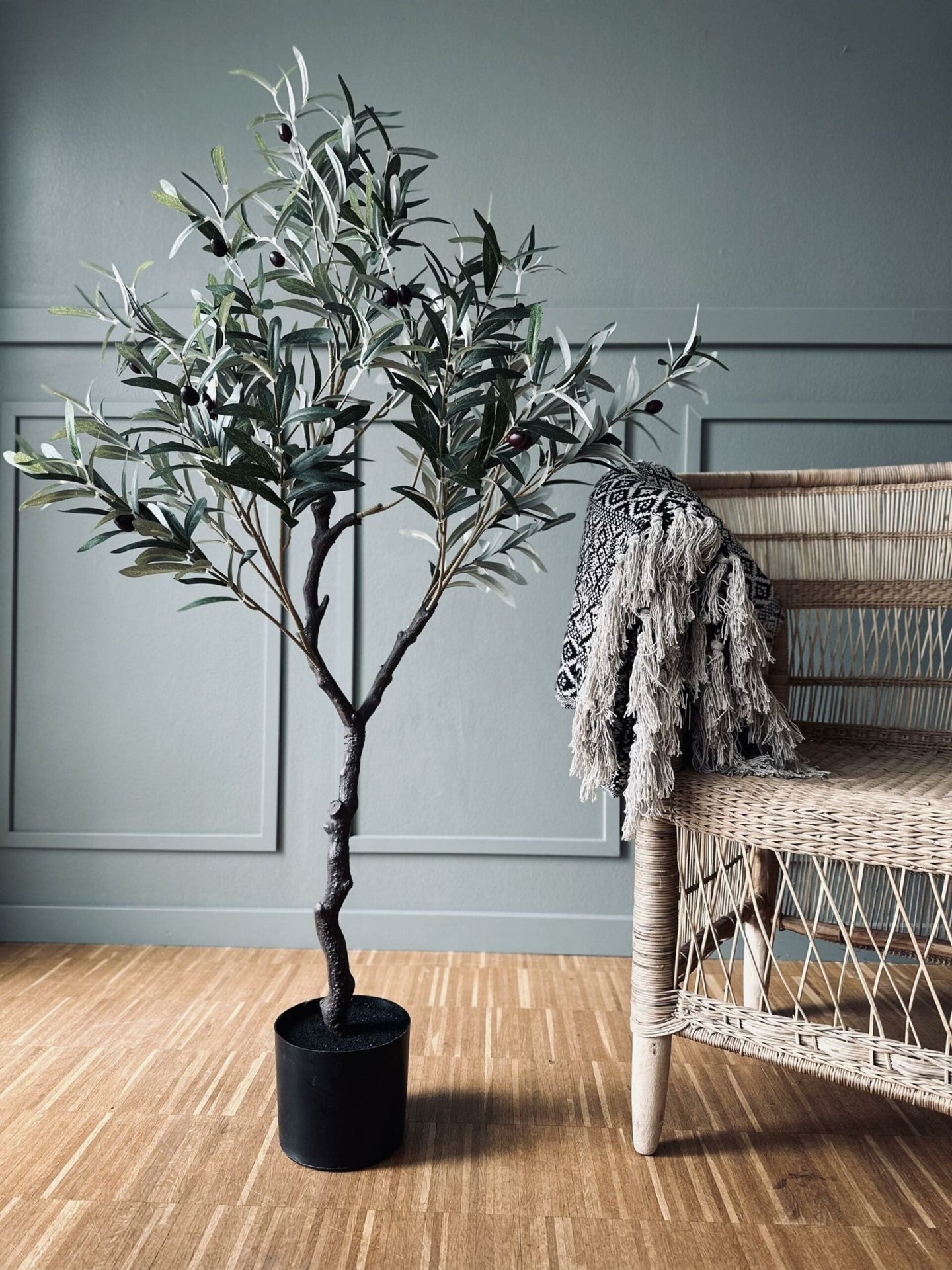 Olivträd 120 cm - VIAMAJA.DK