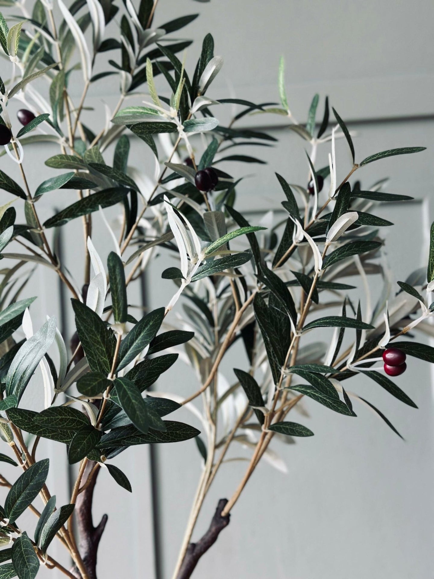 Olivträd 120 cm - VIAMAJA.DK
