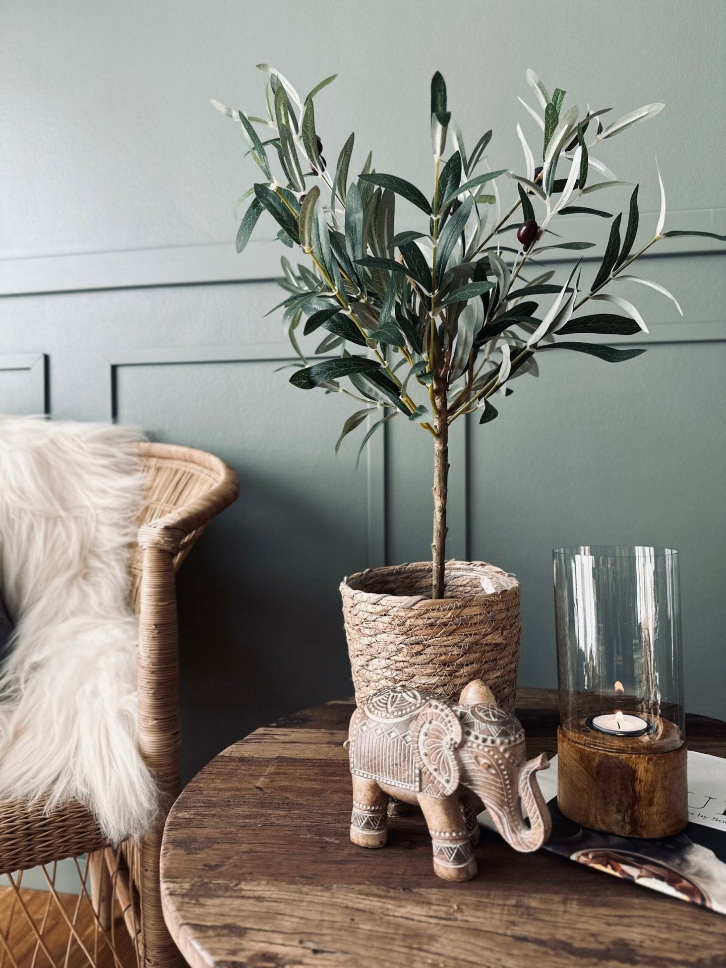 Oliventræ - VIAMAJA.DK