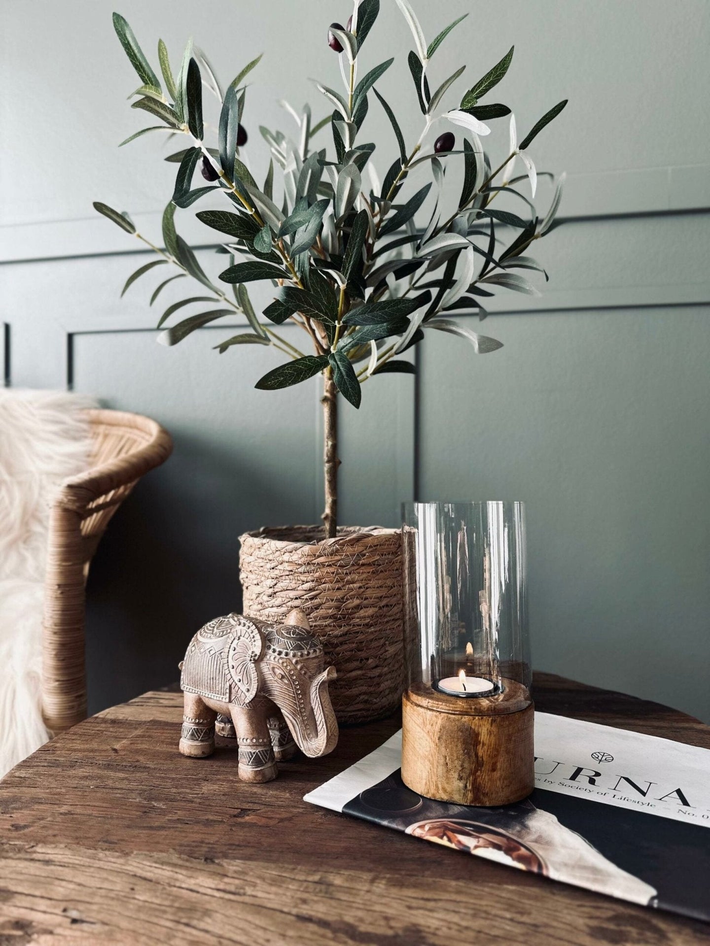 Oliventræ - VIAMAJA.DK