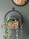 Upphängning med planteringskorg - Liten