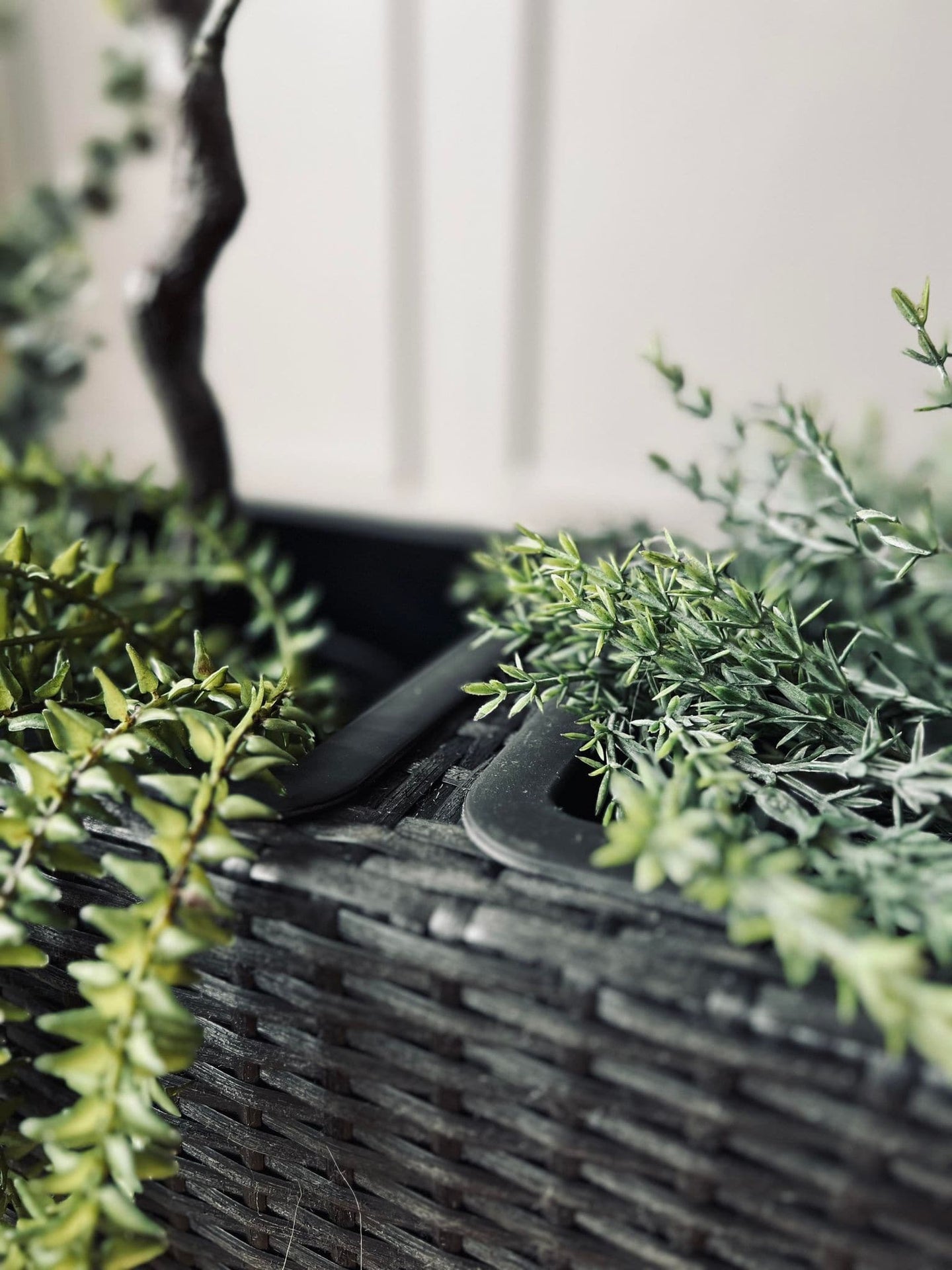 Plantekasse med 3 rum - Børstet sort - VIAMAJA.DK