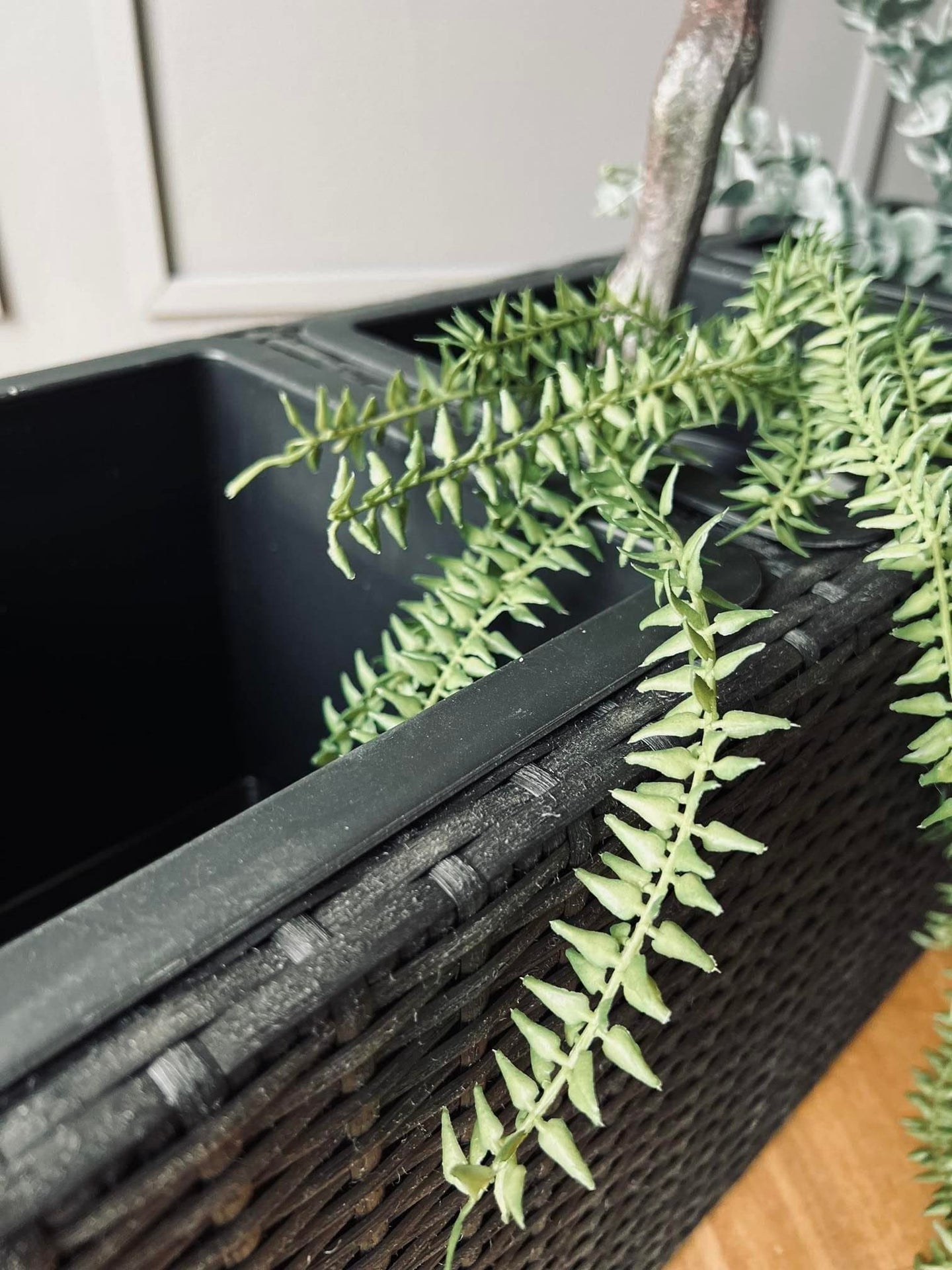 Plantekasse med 3 rum - Børstet sort - VIAMAJA.DK