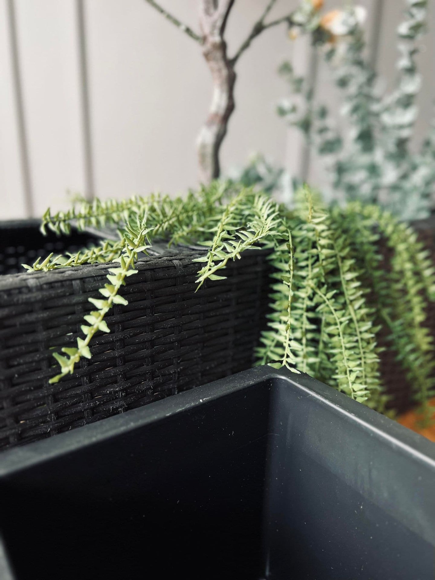 Plantekasse med 3 rum - Børstet sort - VIAMAJA.DK