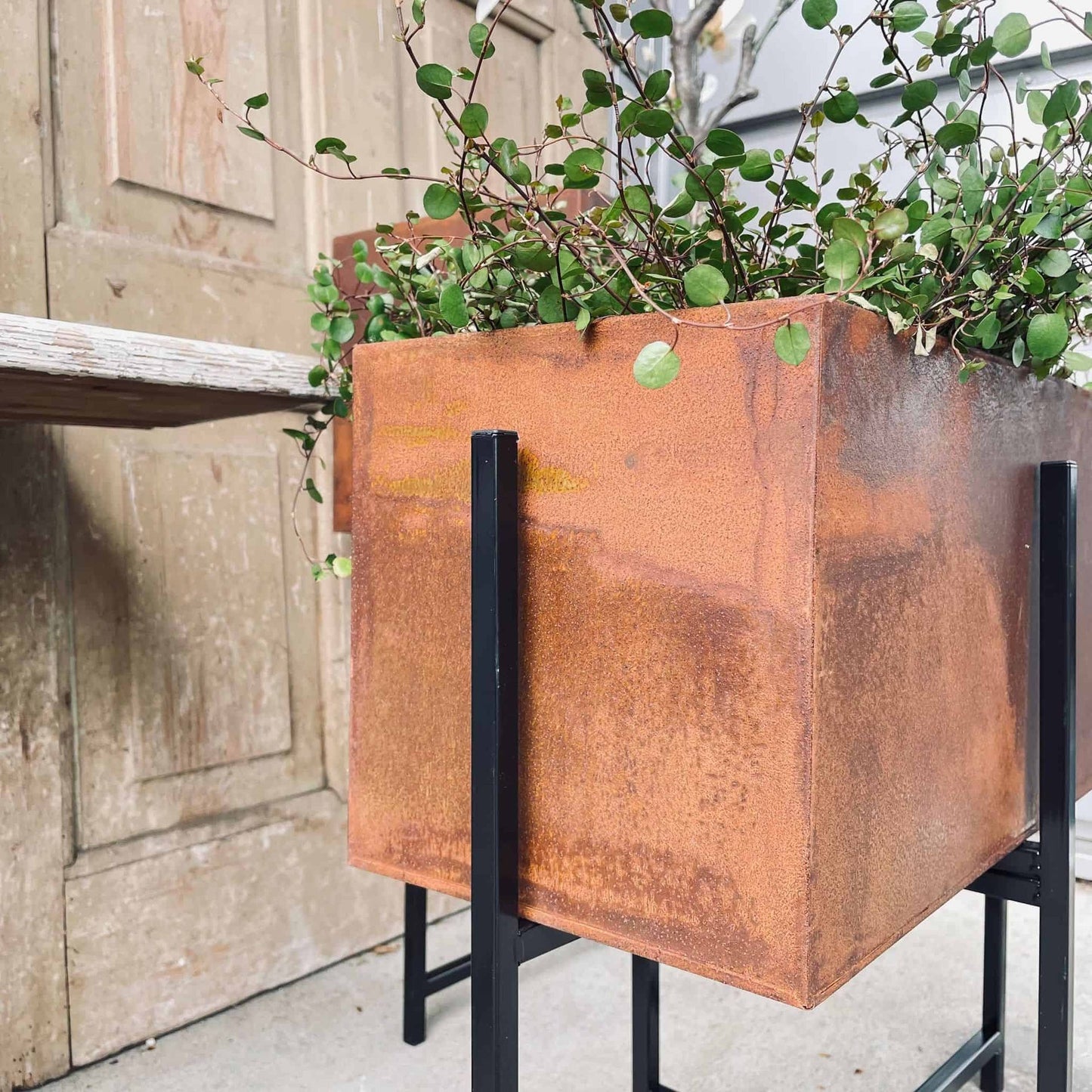 Plantekasse sæt af 2 - Rust med sorte ben - VIAMAJA.DK