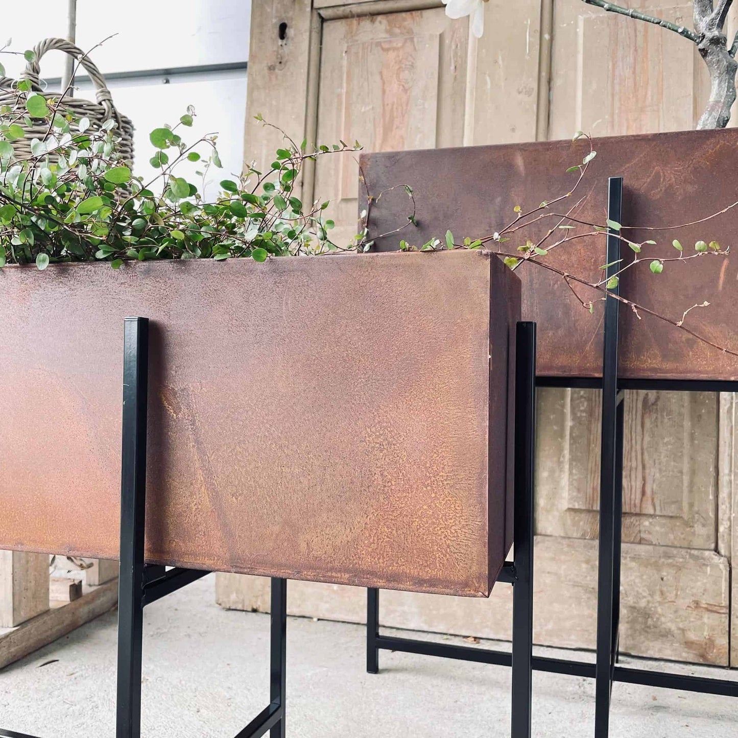 Plantekasse sæt af 2 - Rust med sorte ben - VIAMAJA.DK