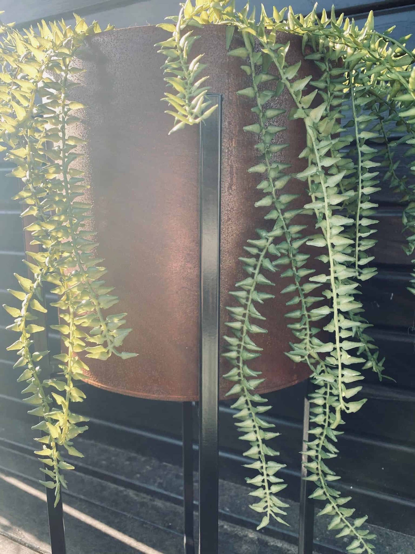 Plantekasse sæt af 2 – Rust med sorte ben - Rund potte - VIAMAJA.DK