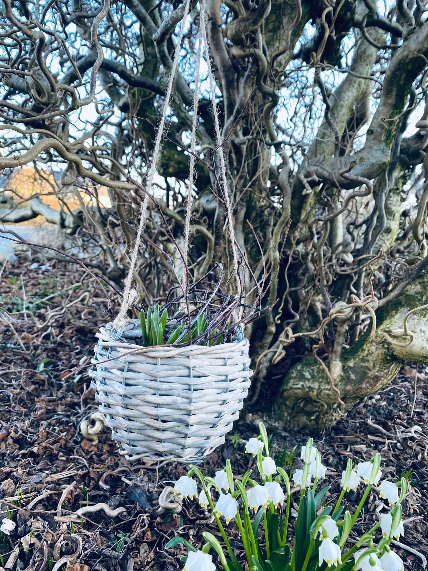 Plantekurv med ophæng - VIAMAJA.DK