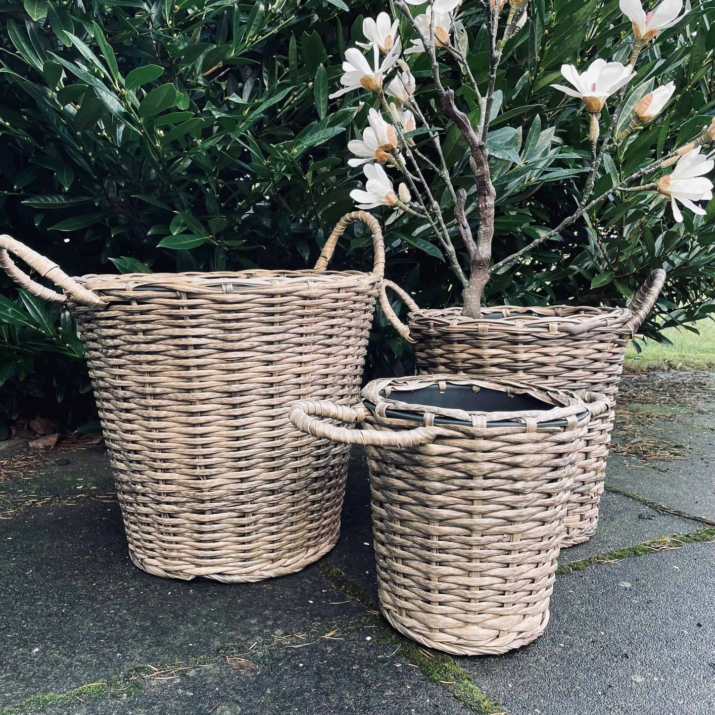 Plantekurv med spand – Stor - VIAMAJA.DK