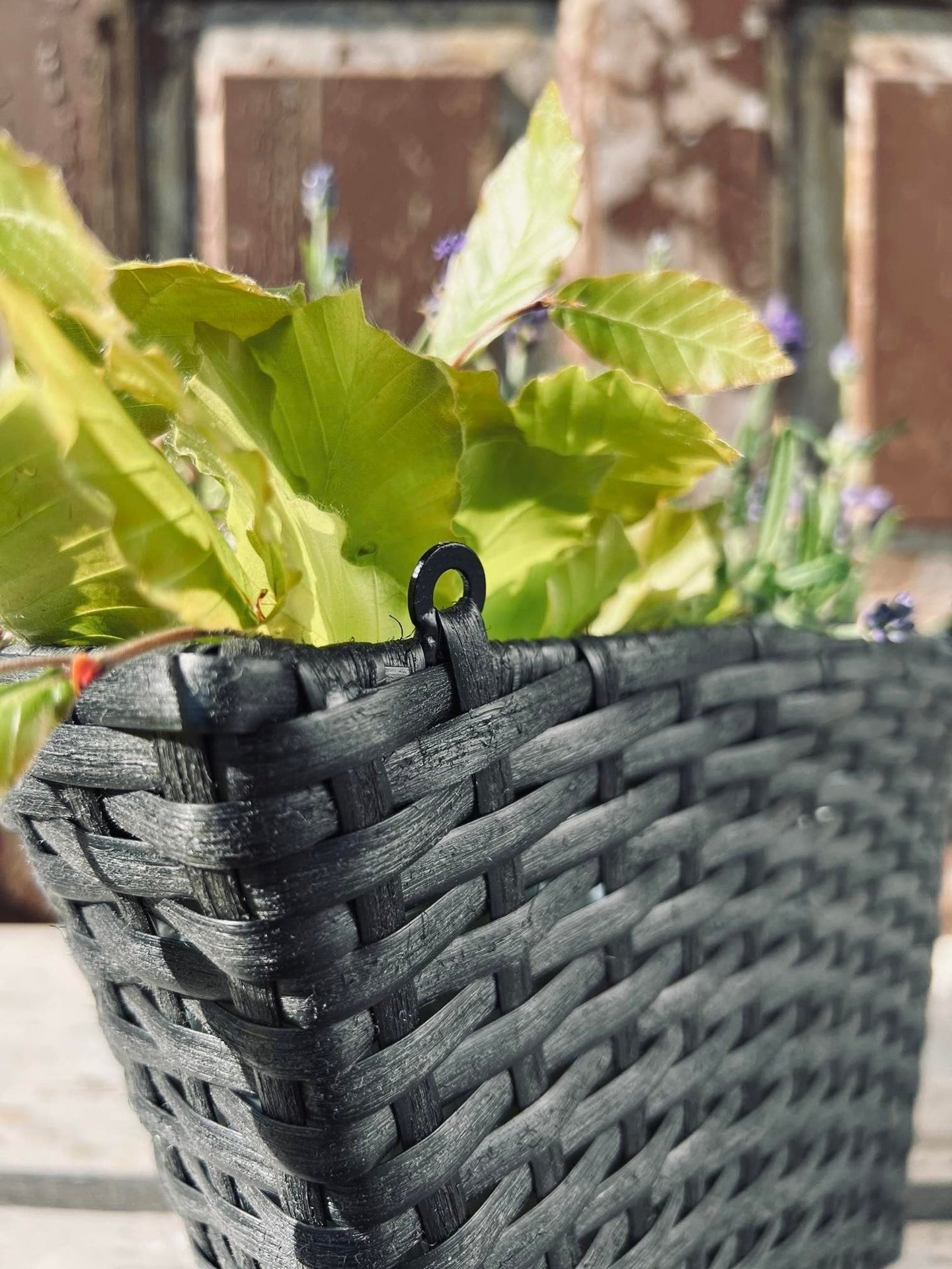 Plantekurv - væghængt - VIAMAJA.DK