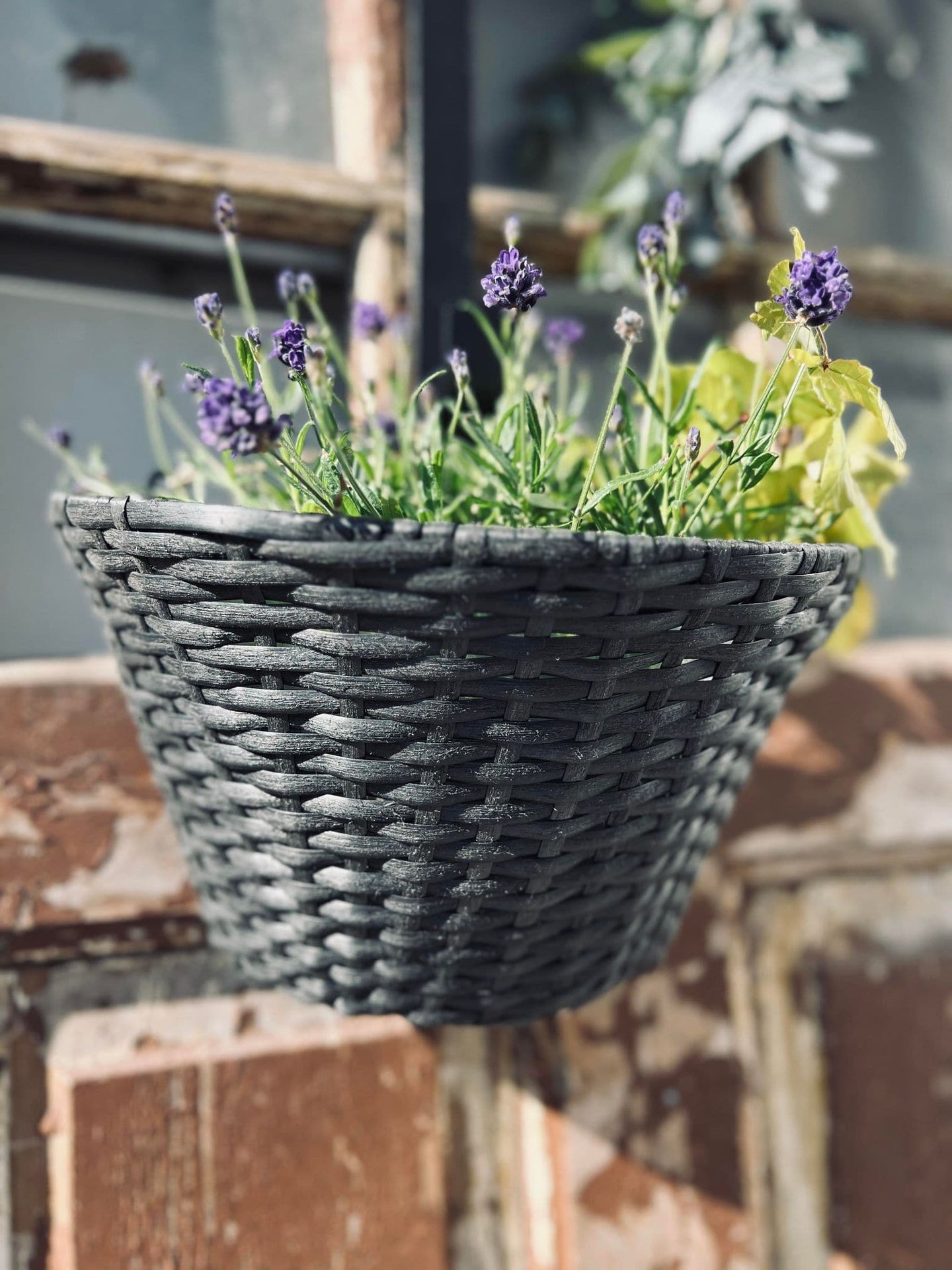 Plantekurv - væghængt - VIAMAJA.DK