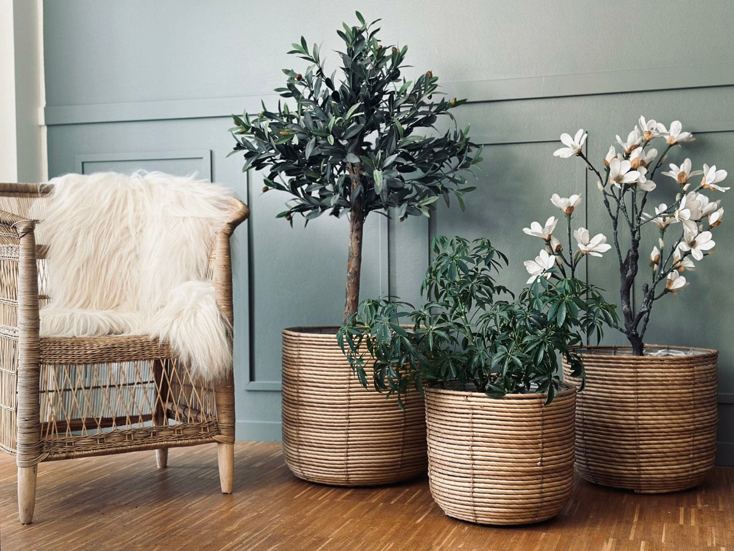 Plantekurve RATTAN BIG - Sæt med 3 størrelser - VIAMAJA.DK