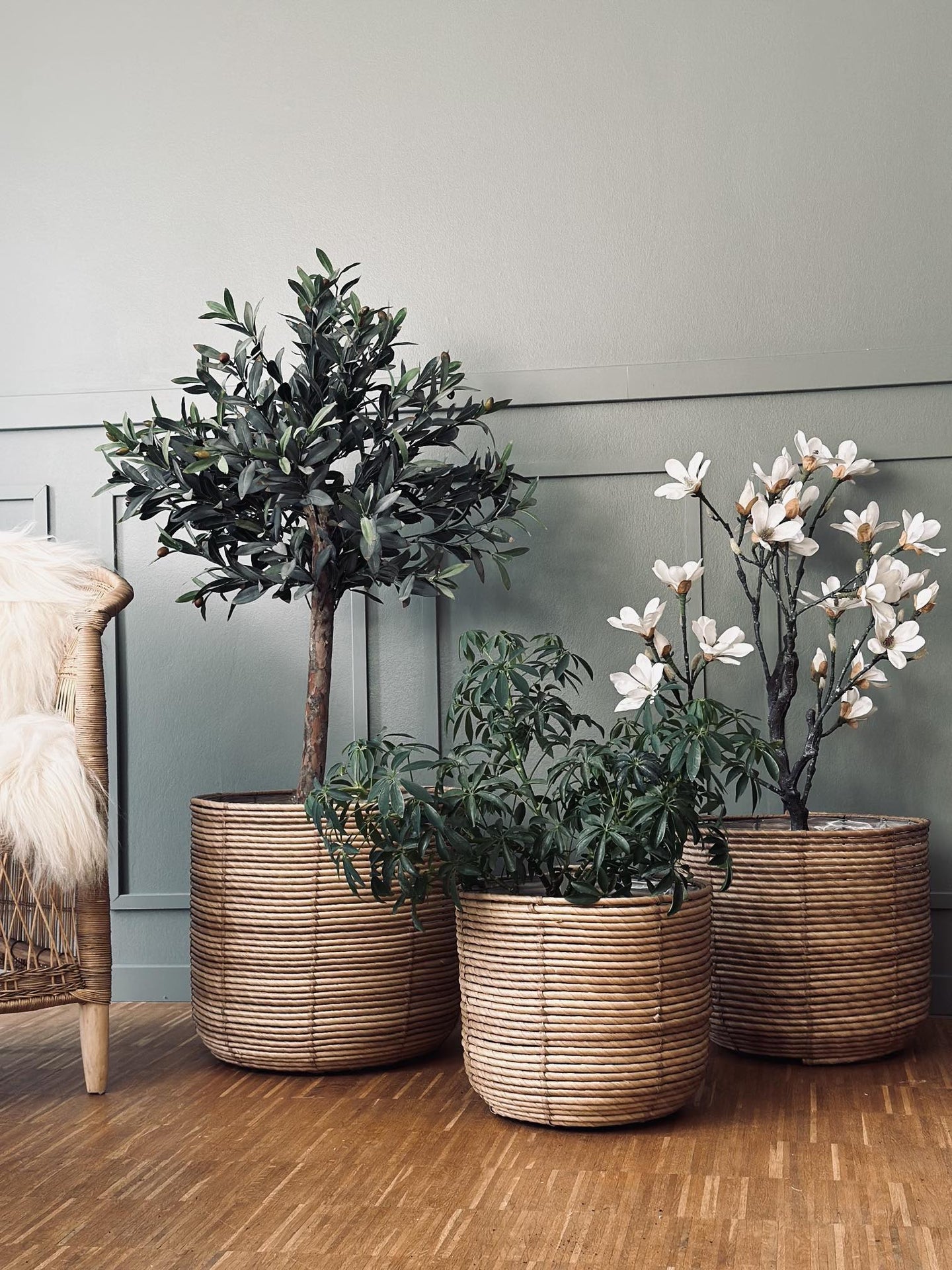 Plantekurve RATTAN BIG - Sæt med 3 størrelser - VIAMAJA.DK