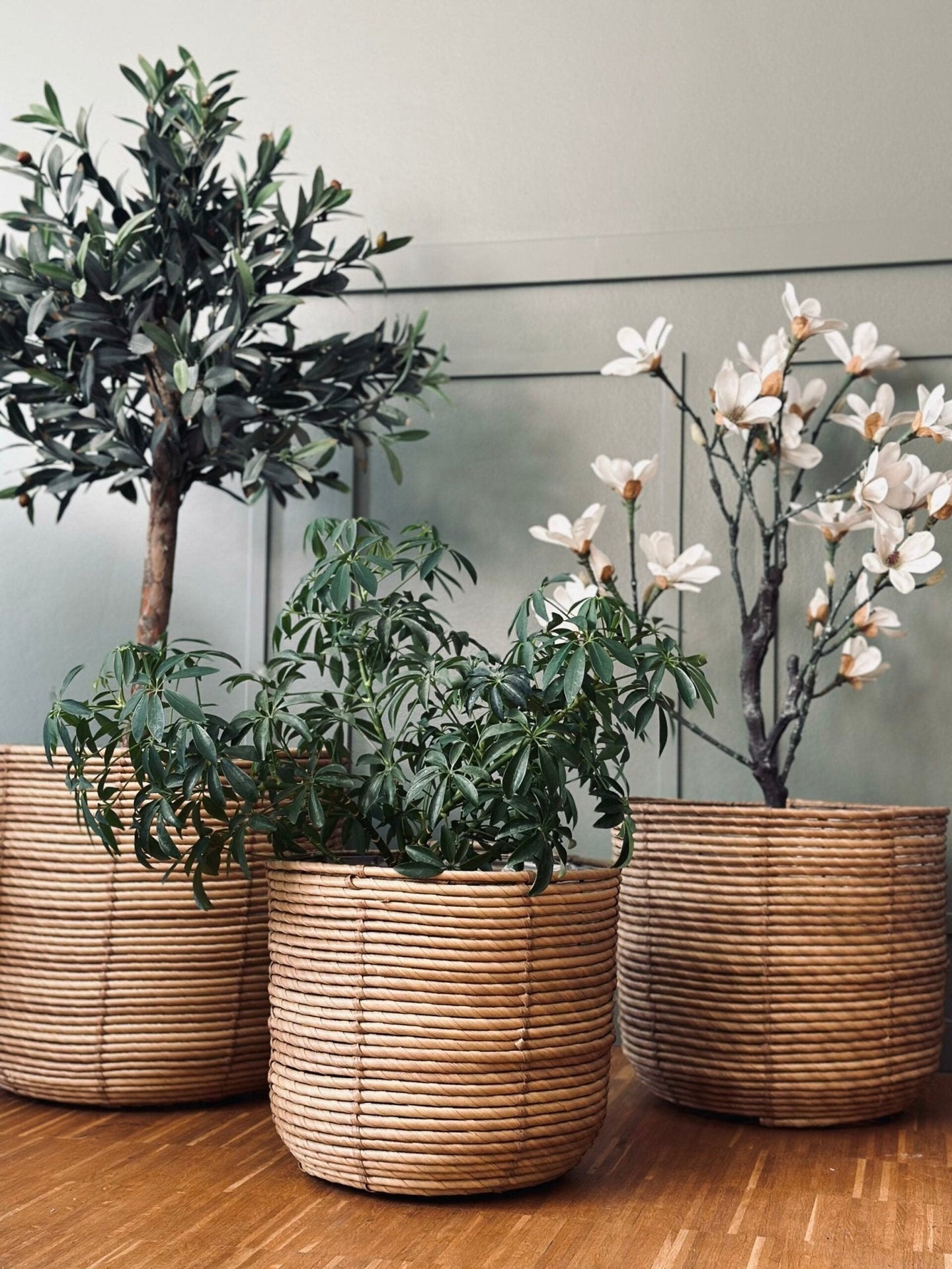 Plantekurve RATTAN BIG - Sæt med 3 størrelser - VIAMAJA.DK