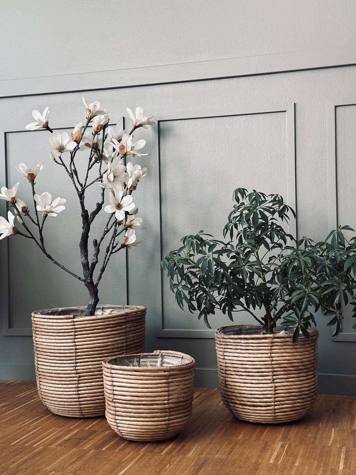 Plantekurve RATTAN – Sæt med 3 størrelser - VIAMAJA.DK