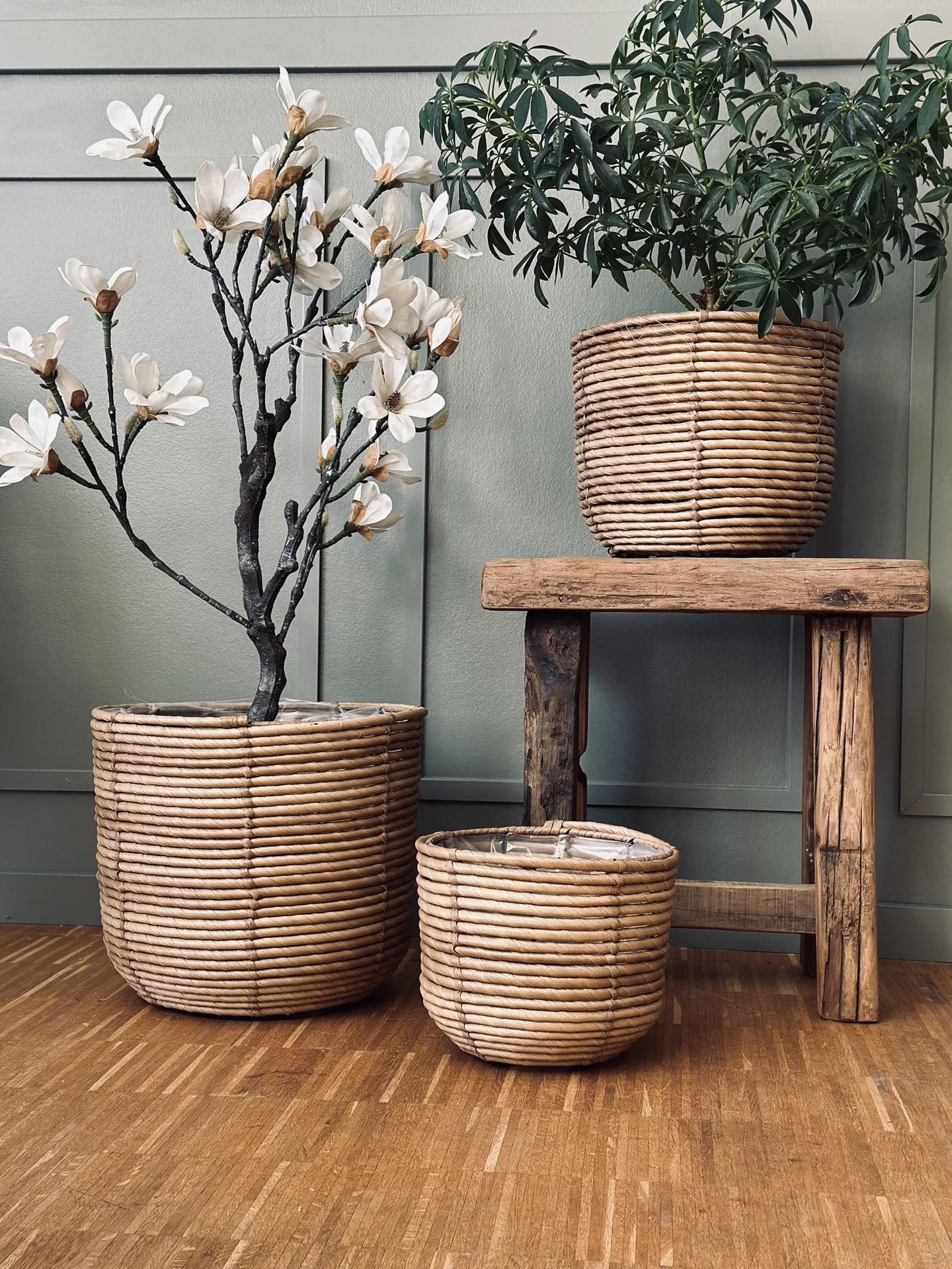 Plantekurve RATTAN – Sæt med 3 størrelser - VIAMAJA.DK