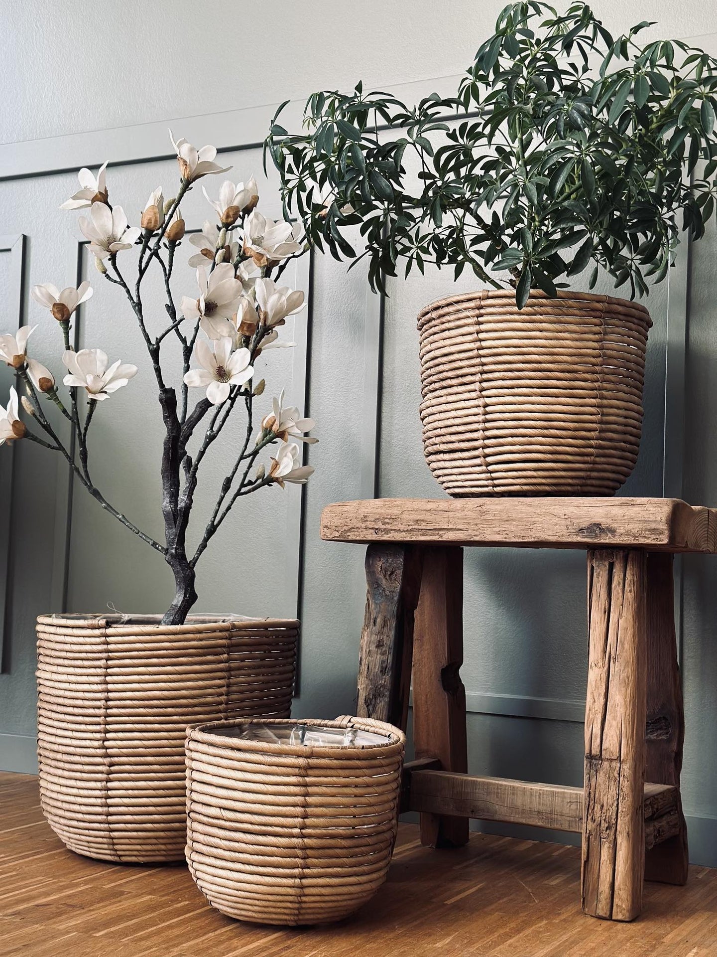 Plantekurve RATTAN – Sæt med 3 størrelser - VIAMAJA.DK